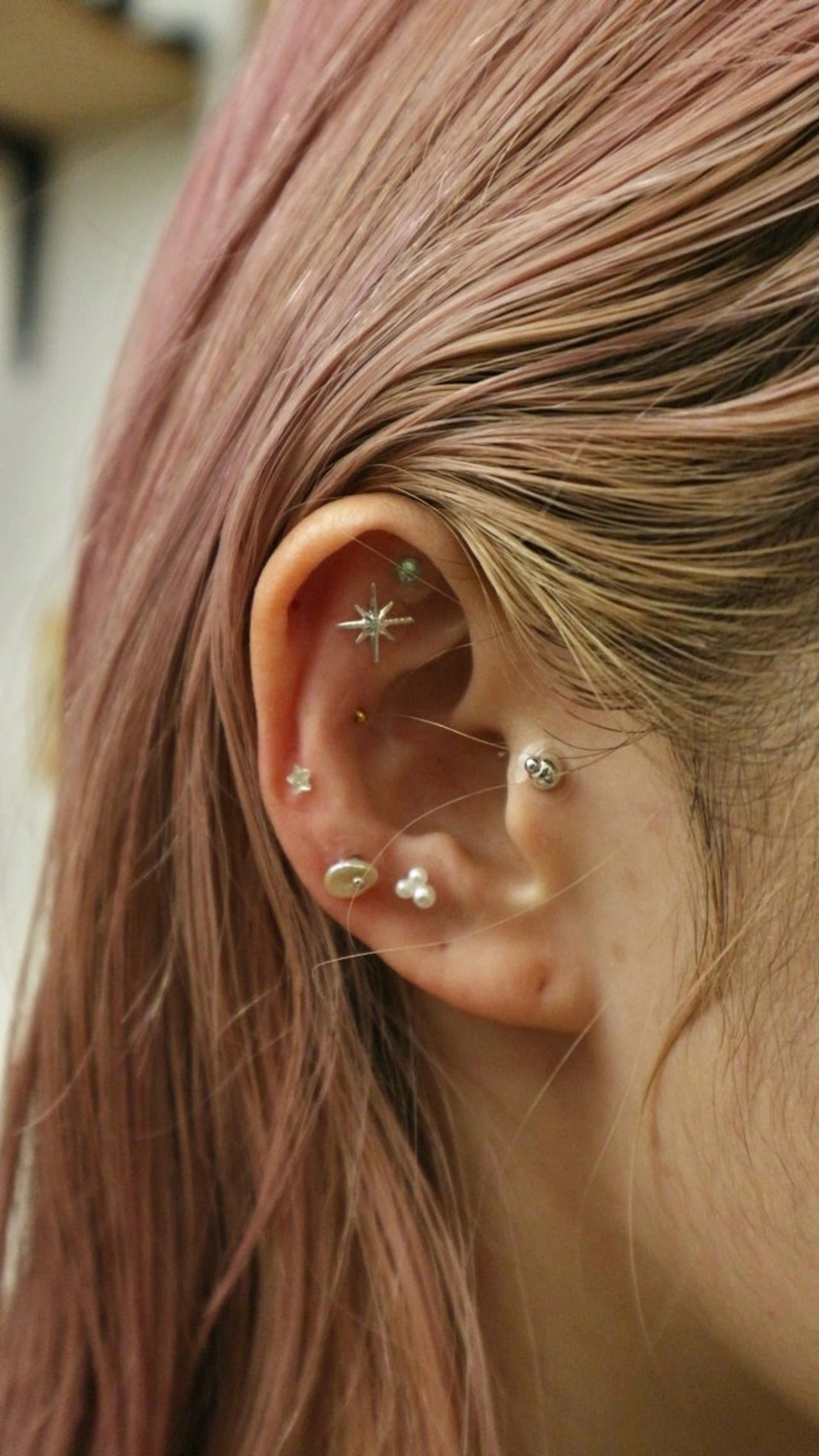 B.napus/mimi2bo所属・B.napus Nanohaのその他イメージ