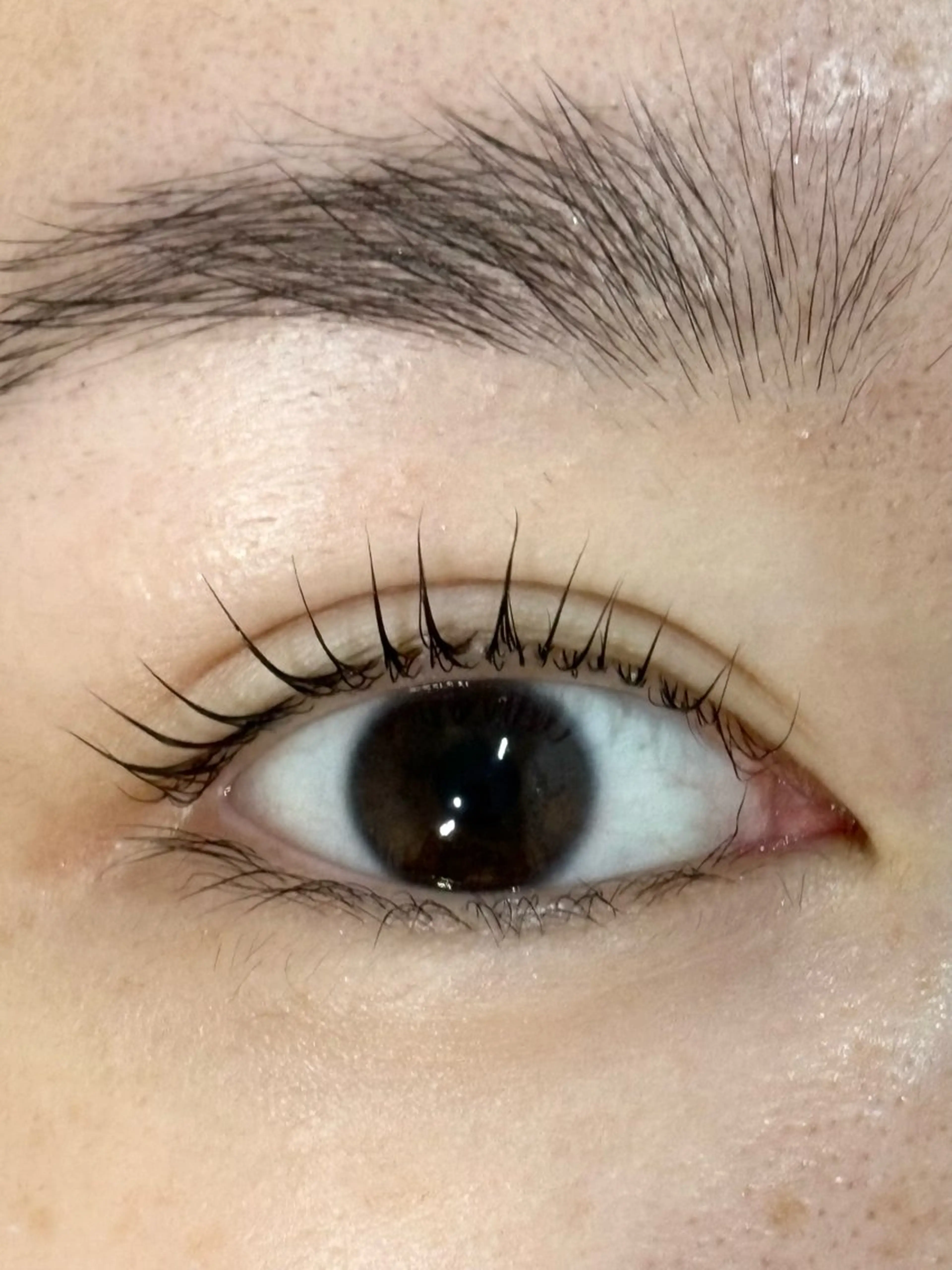 マツエク・マツパ ケラチンラッシュリフト 一重×まつ毛パーマ 菅原 花菜美のマツエク・マツパデザイン