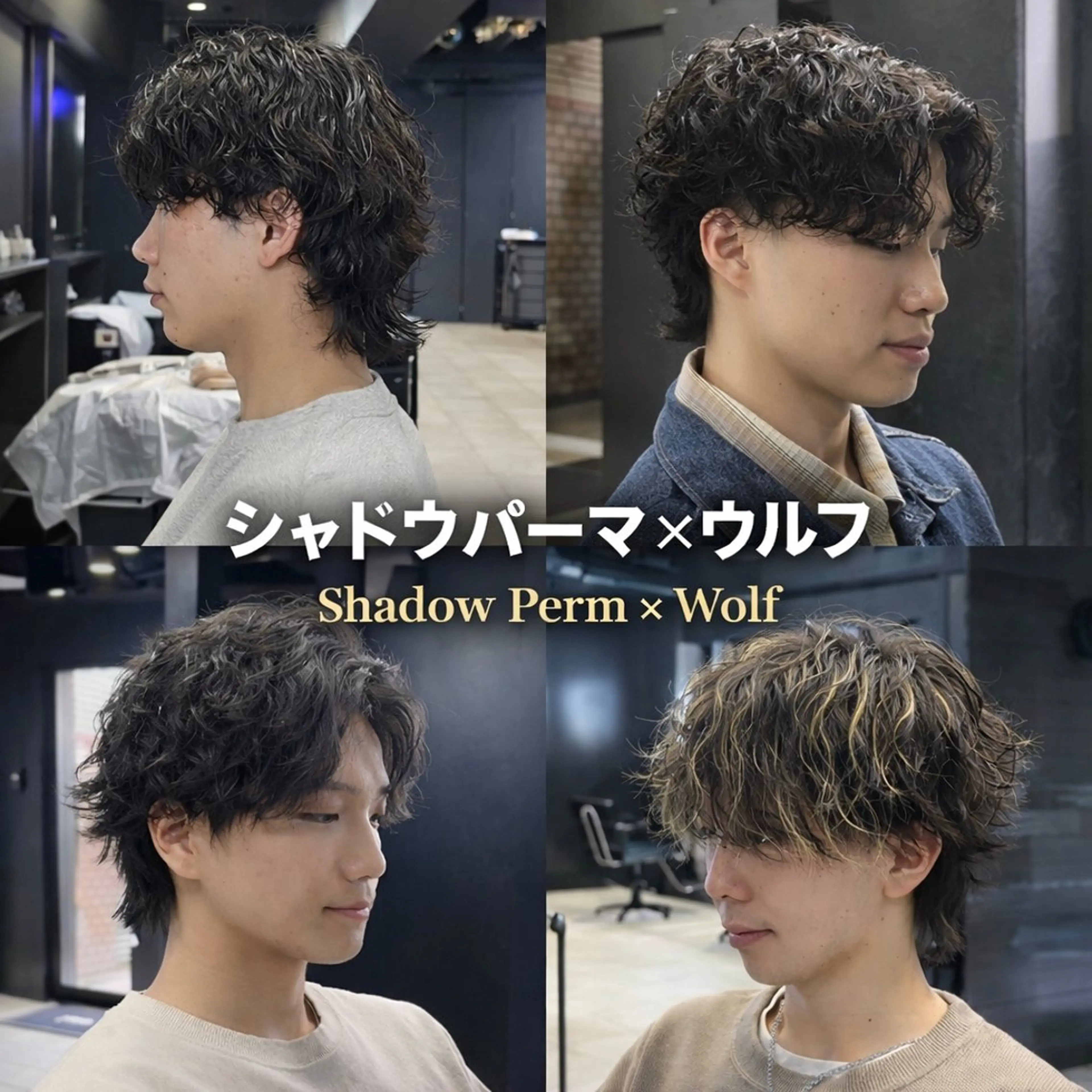 ミディアム パーマ メンズ ミディアムパーマ メンズパーマ メンズウルフカット ウルフカット カット パーマ 【フェザーパーマ】 【縮毛矯正】鶴田文のヘアスタイル