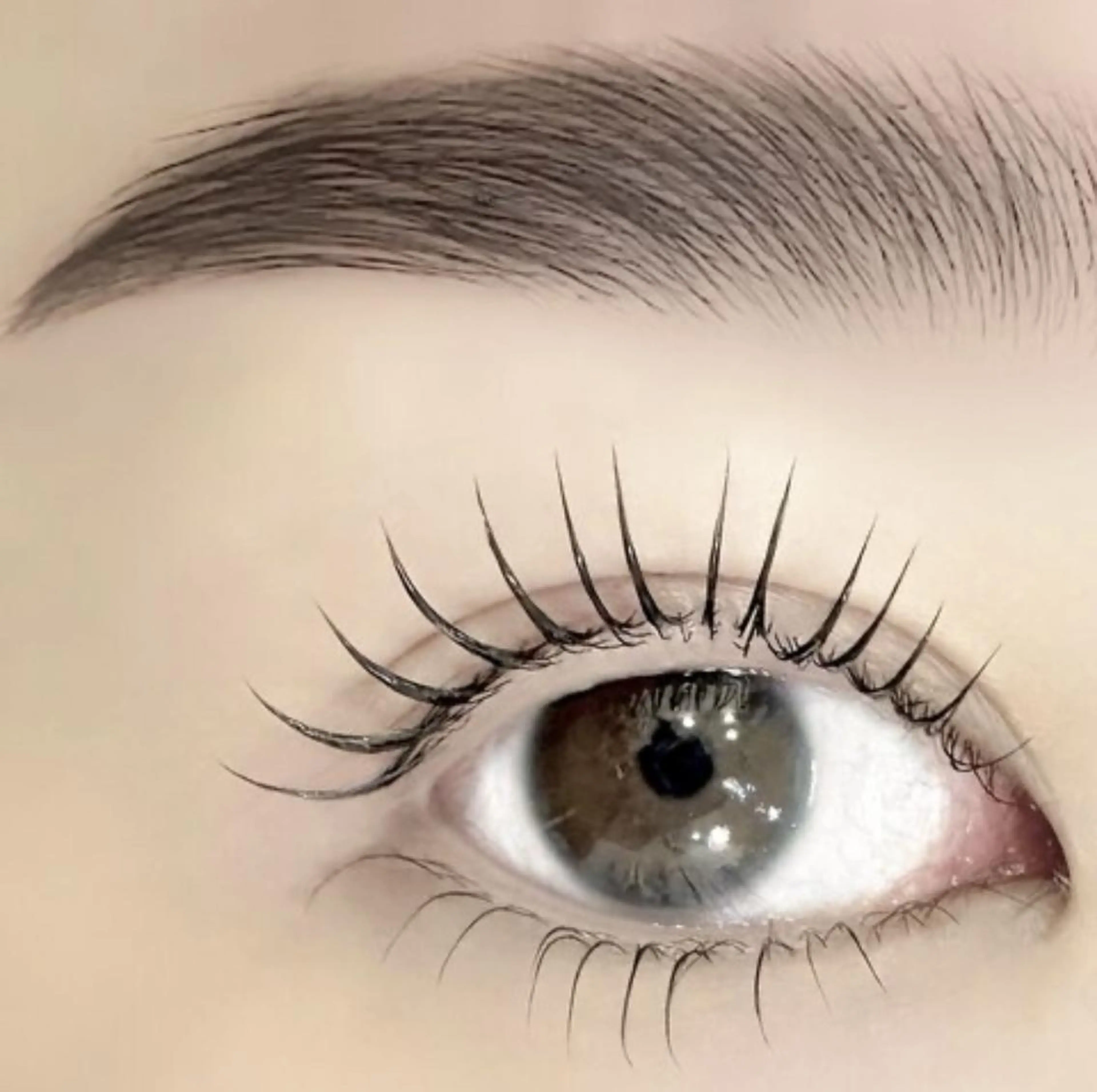 まつげパーマ+ハリウッドブロウリフト🩵 《年内まで1回だけ特別価格🌼新規さんもリピーターさんもOK！》の写真