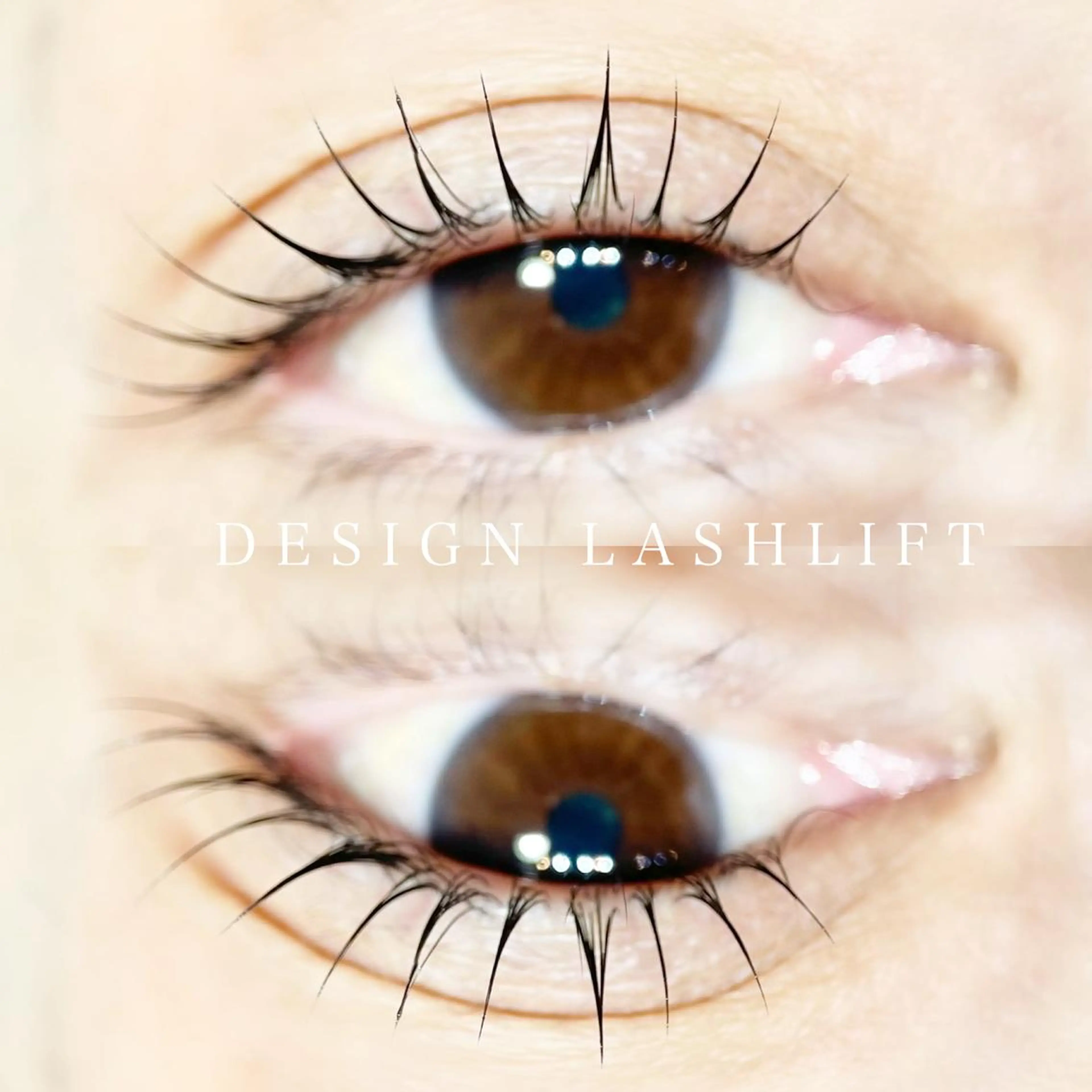 《上下ラッシュリフト》🧡ダメージ補修ケラチントリートメントでハリ艶UP♪カールも長持ち！パリジェンヌ/まつげパーマの写真