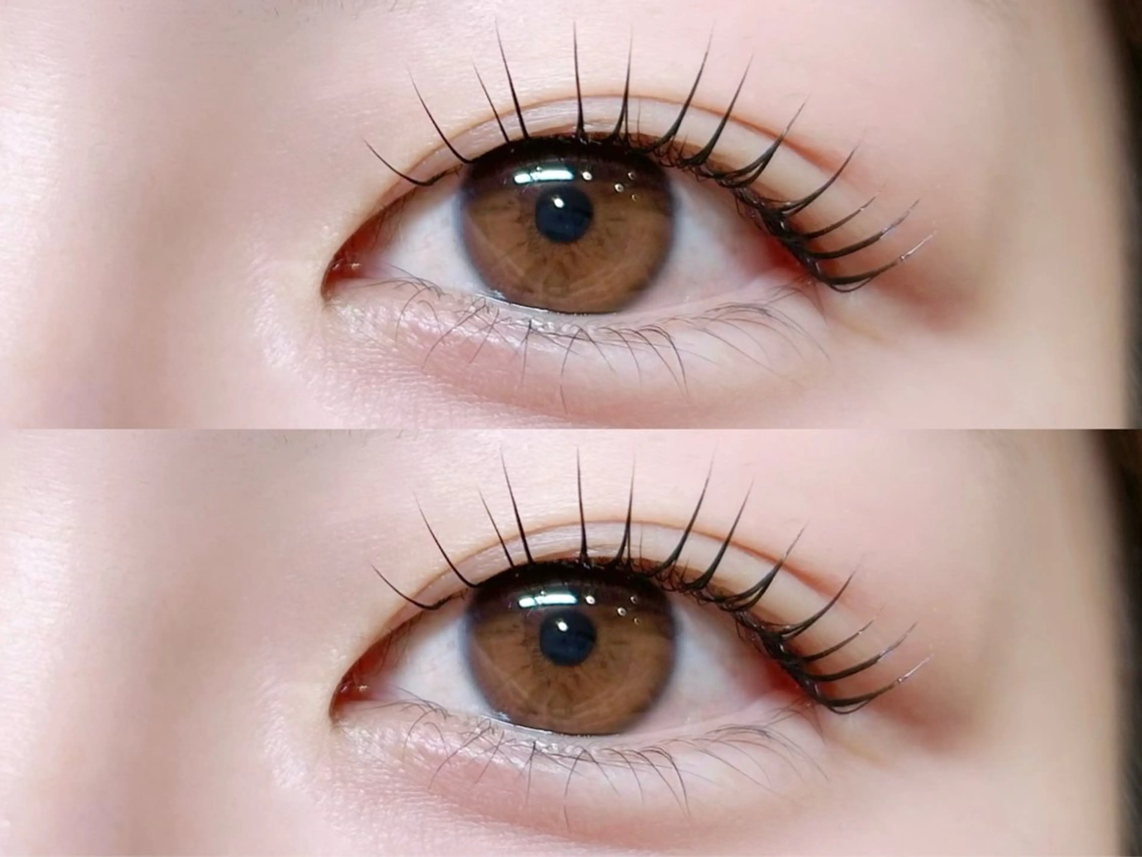 【2.3回目限定20％オフ】 💭パリジェンヌラッシュリフトorまつ毛パーマ➕トリートメント🎁の写真