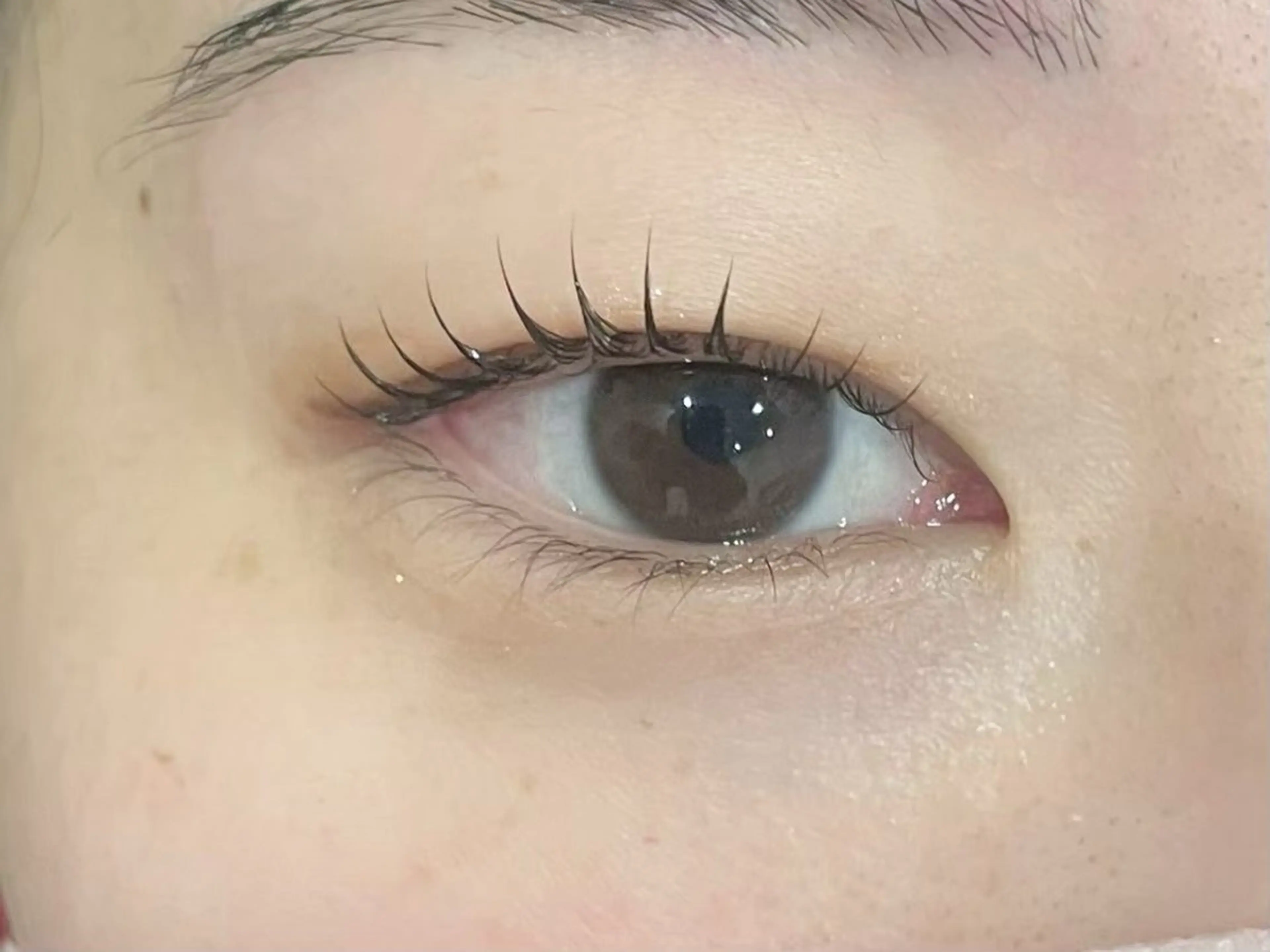 マツエク・マツパ マツパ Ai Quick 増田の眉毛・アイブロウイメージ