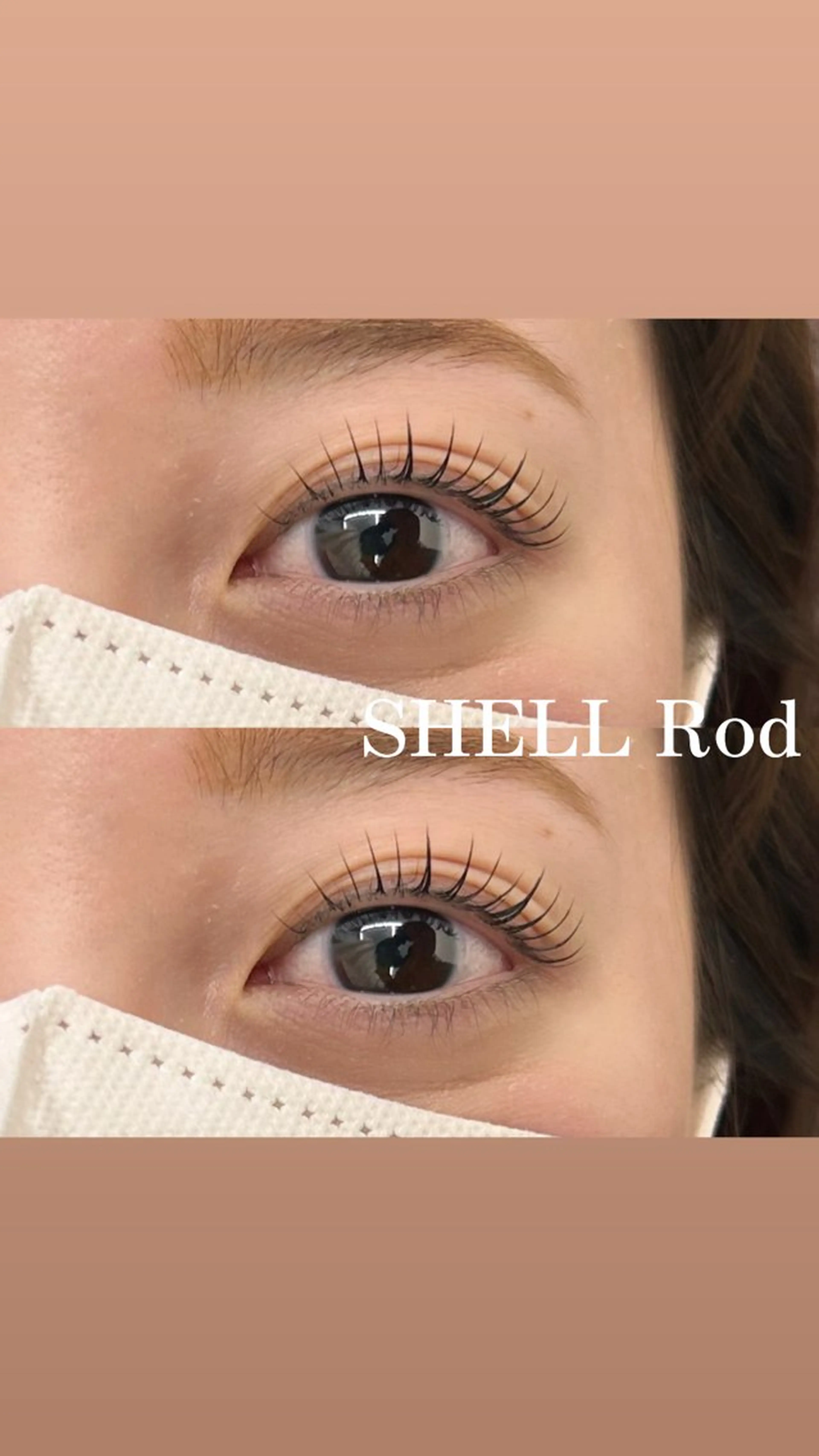 【🐚まつげパーマ　大人気　シェルロッド🐚】6600→4480の写真