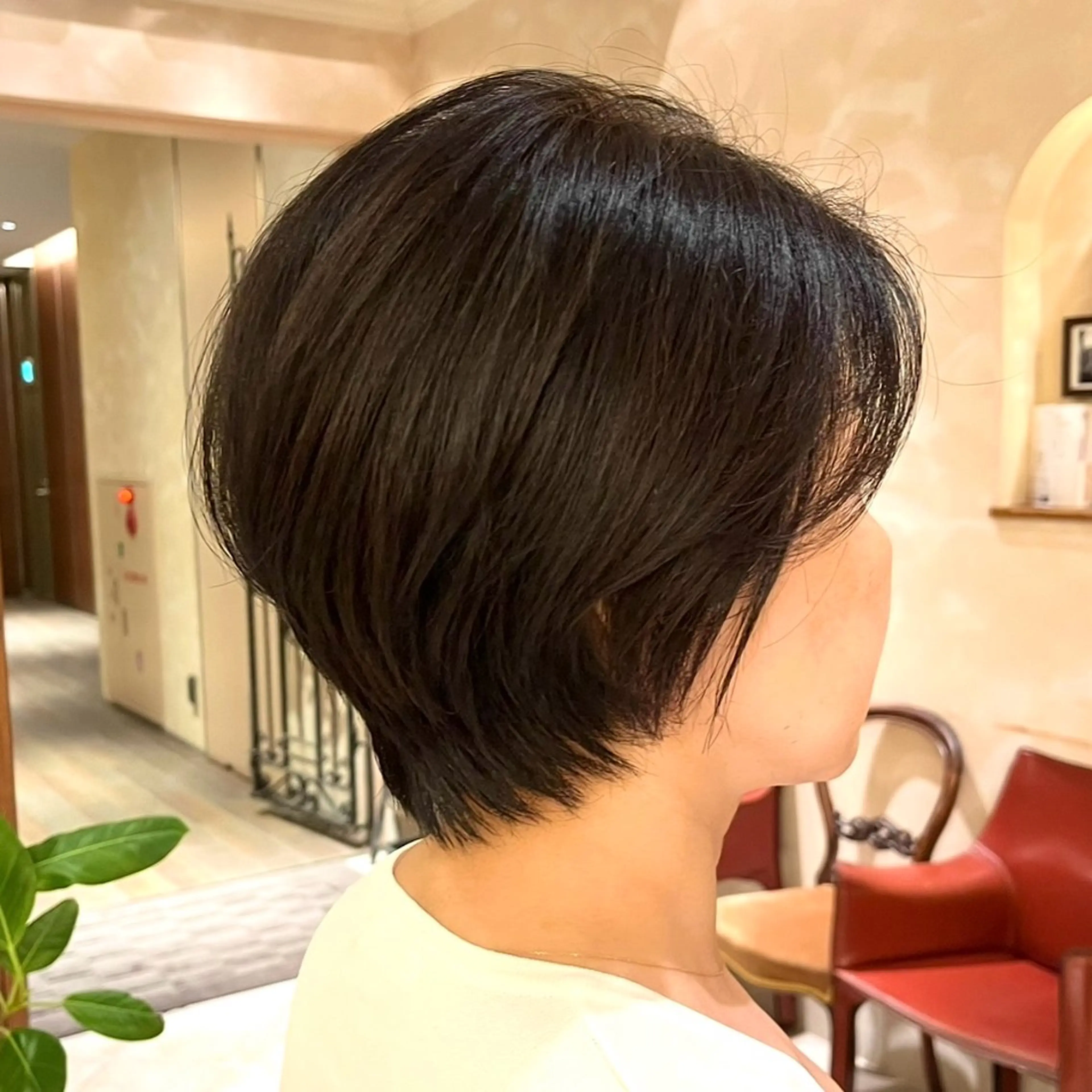 ショート ショートヘア 小顔カット ショートカット / 銀座/ 青山莉奈のヘアスタイル