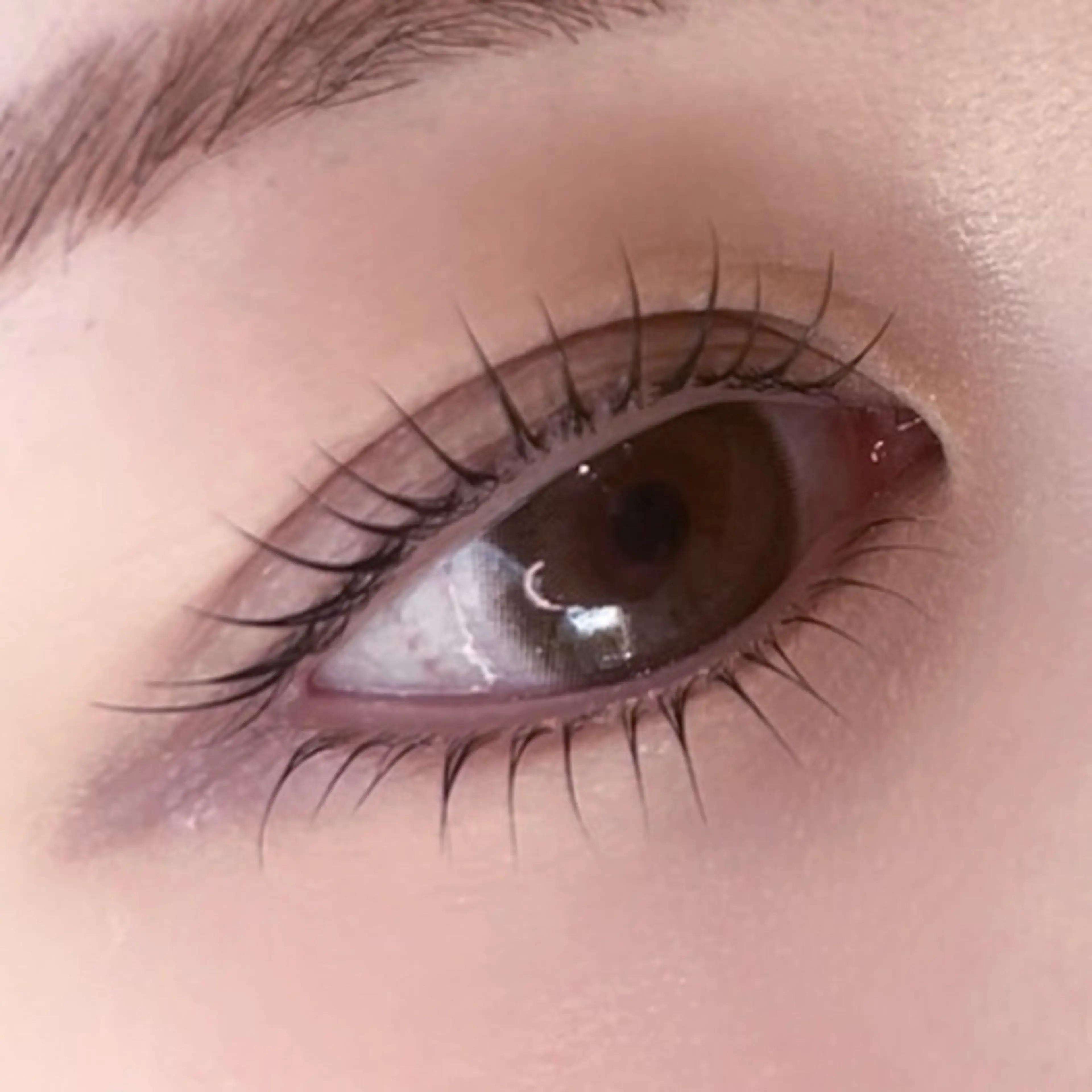 🪷新規様限定🪷《上下まつげパーマ》 束感仕上げ付き✩の写真