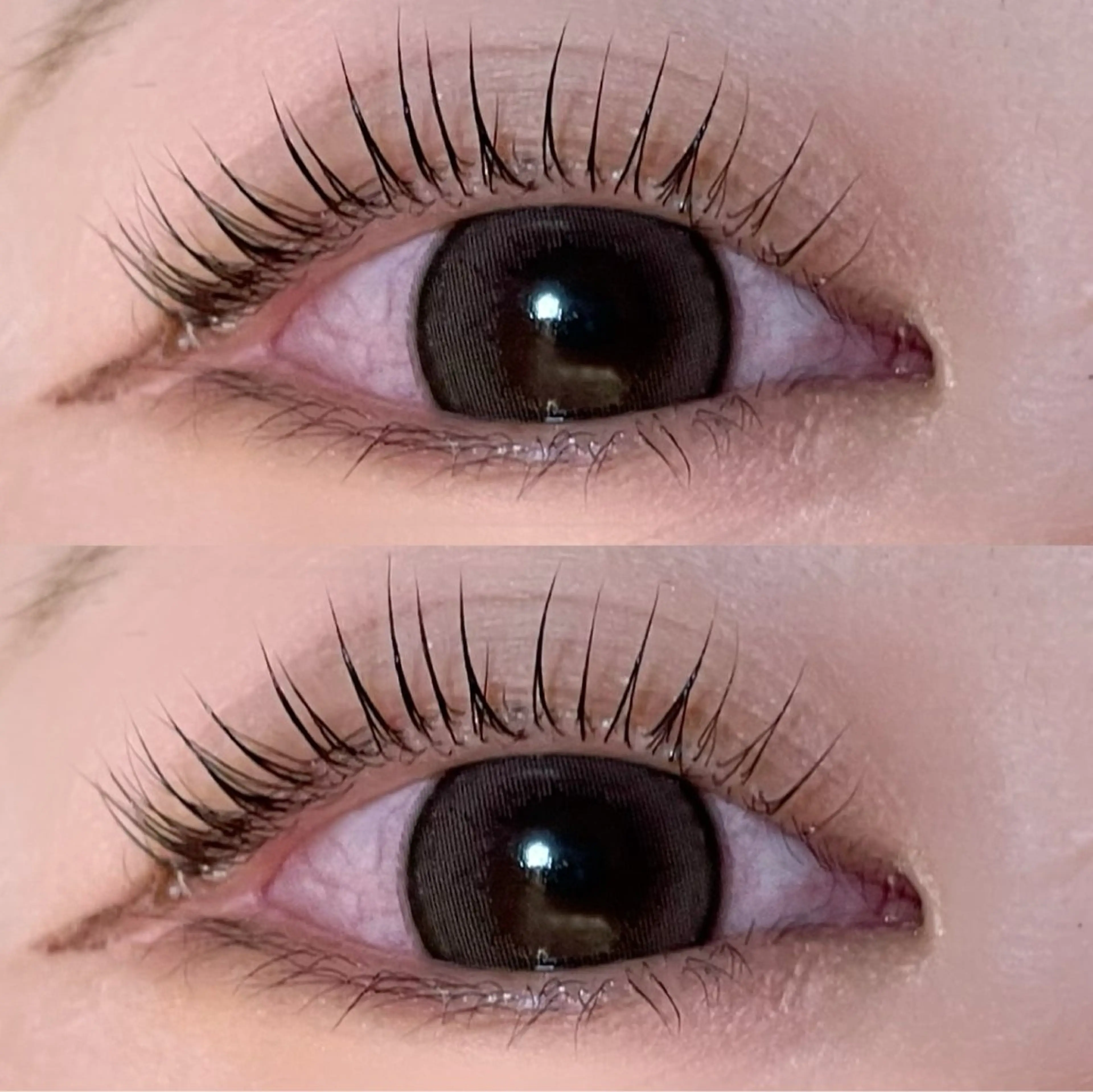 マツエク・マツパ Mon mignon ෆ‪momokaのマツエク・マツパデザイン