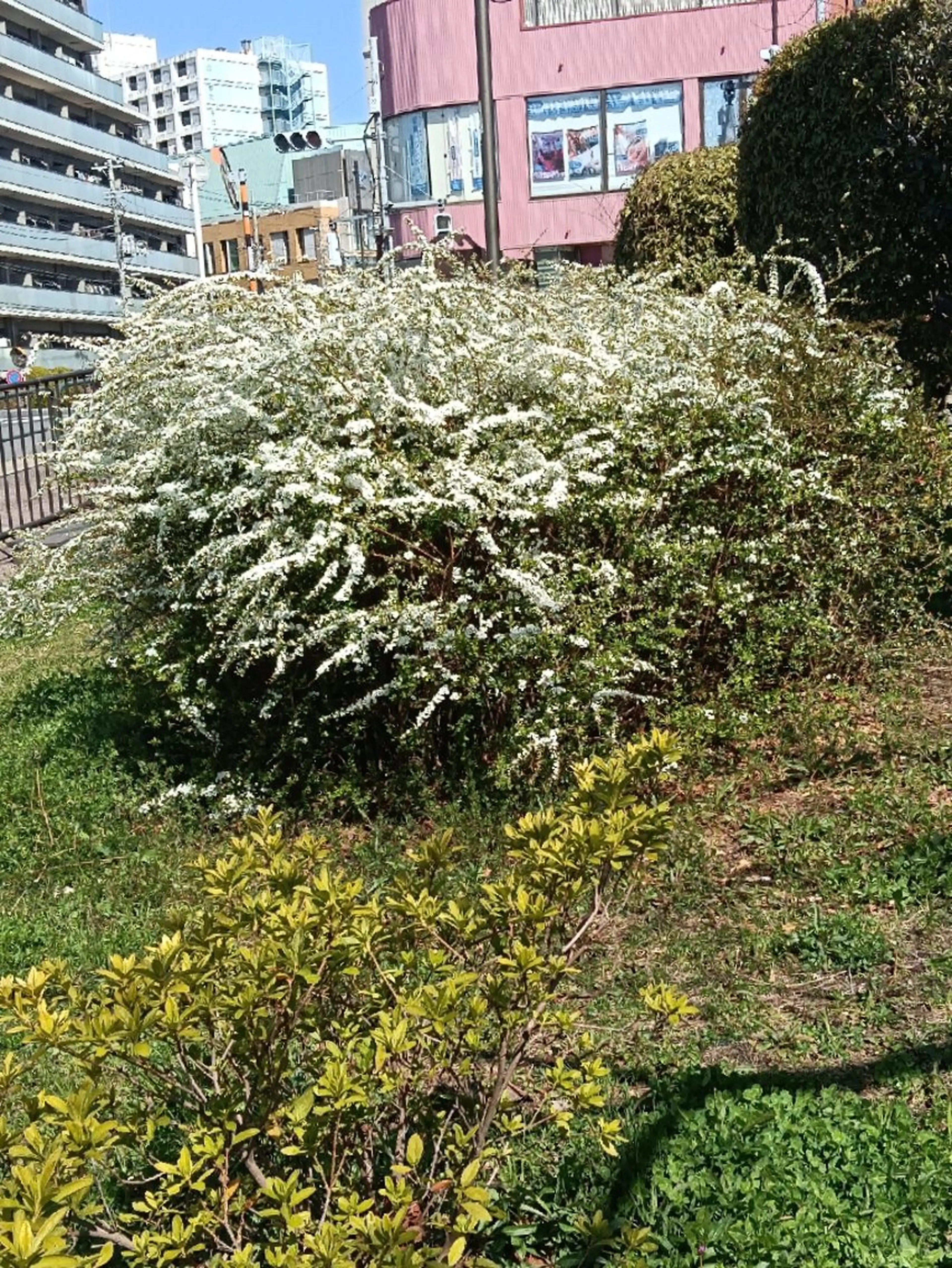 千の樹所属・🪷千住美人🪷 女性専用のエステ・リラクイメージ