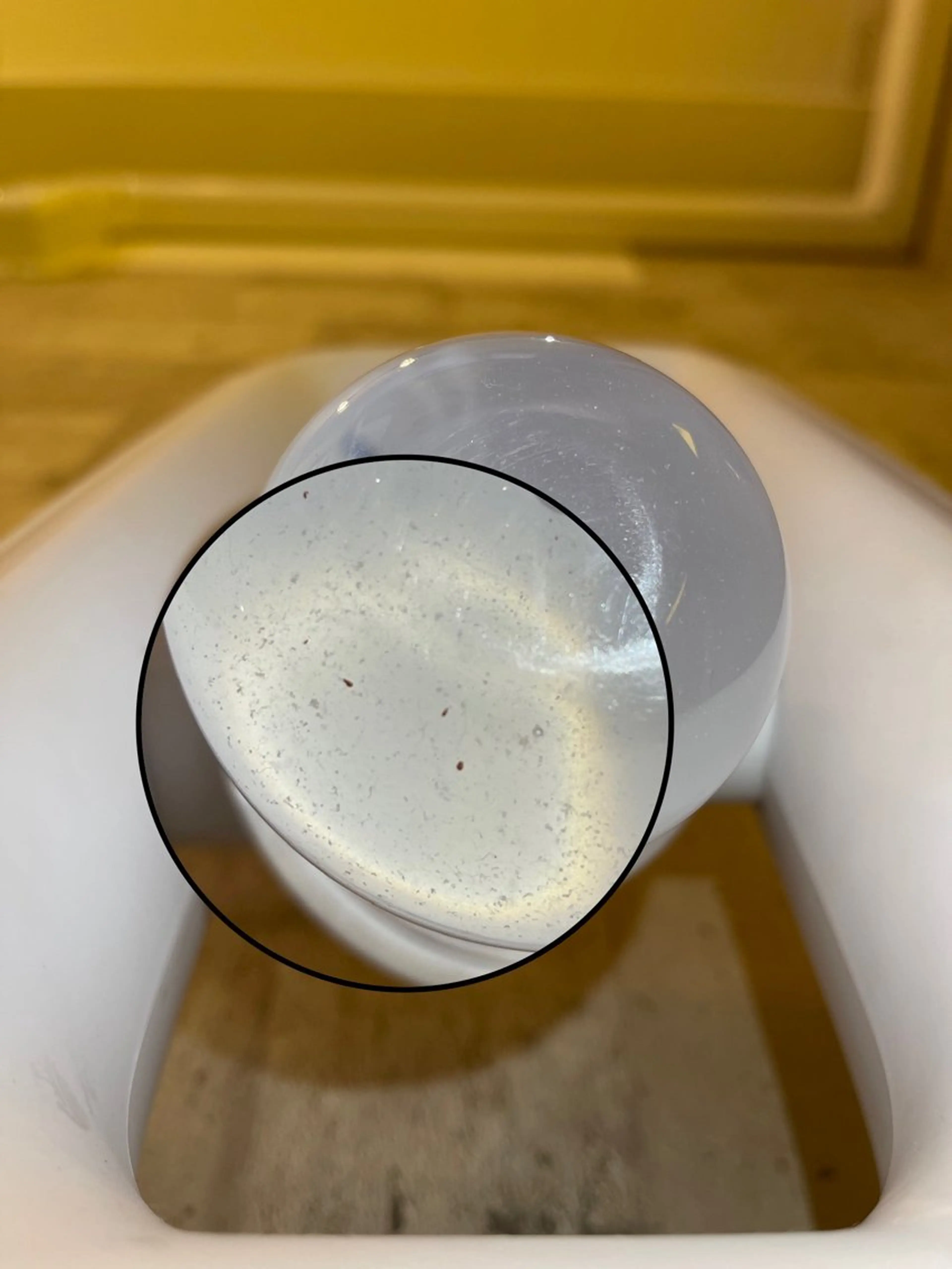 エステ SELF  BEAUTY gracia浦添店所属・gracia 浦添店のその他イメージ