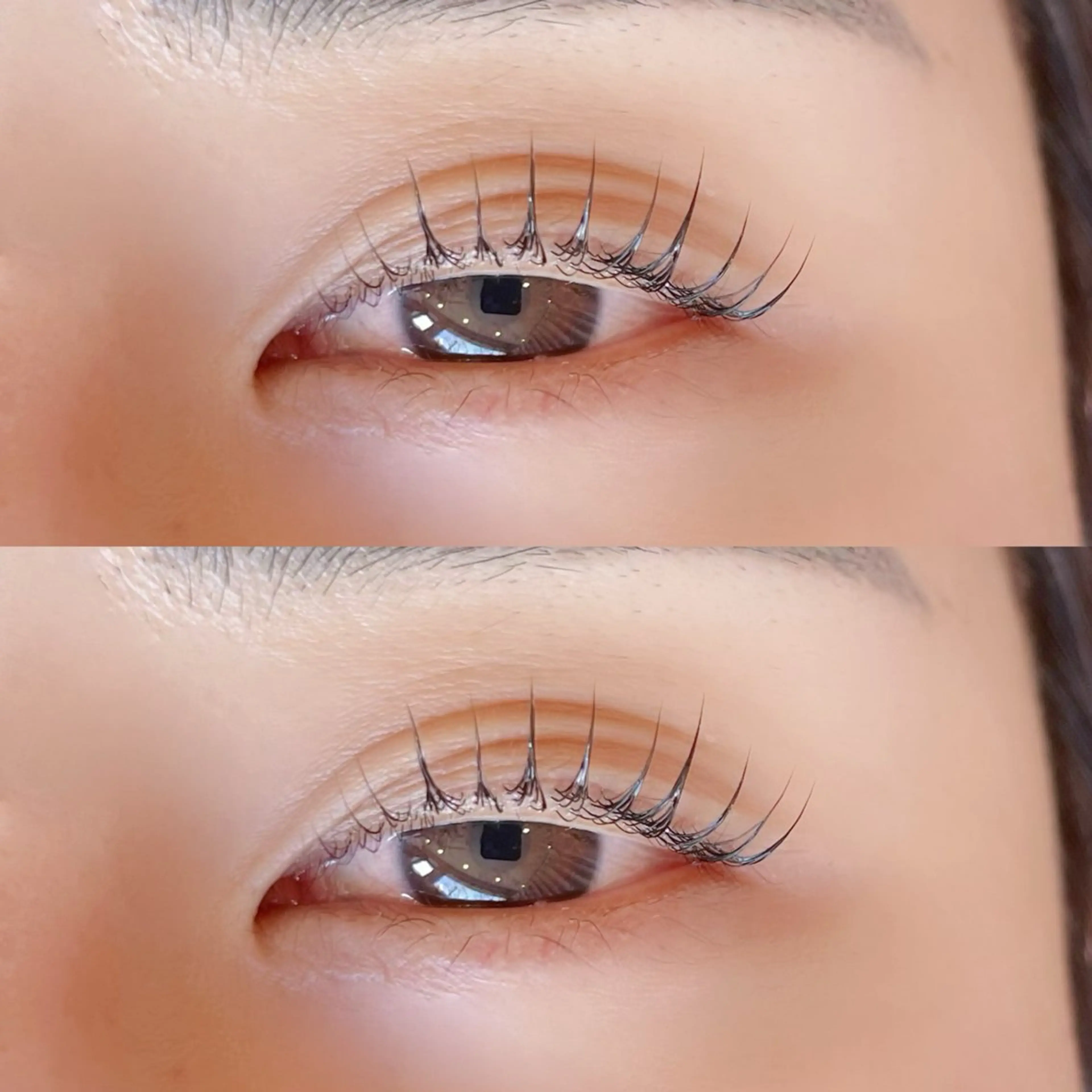 マツエク・マツパ パリジェンヌラッシュリフト マツパ sofa 🛋⸝⸝ urushibaraのマツエク・マツパデザイン