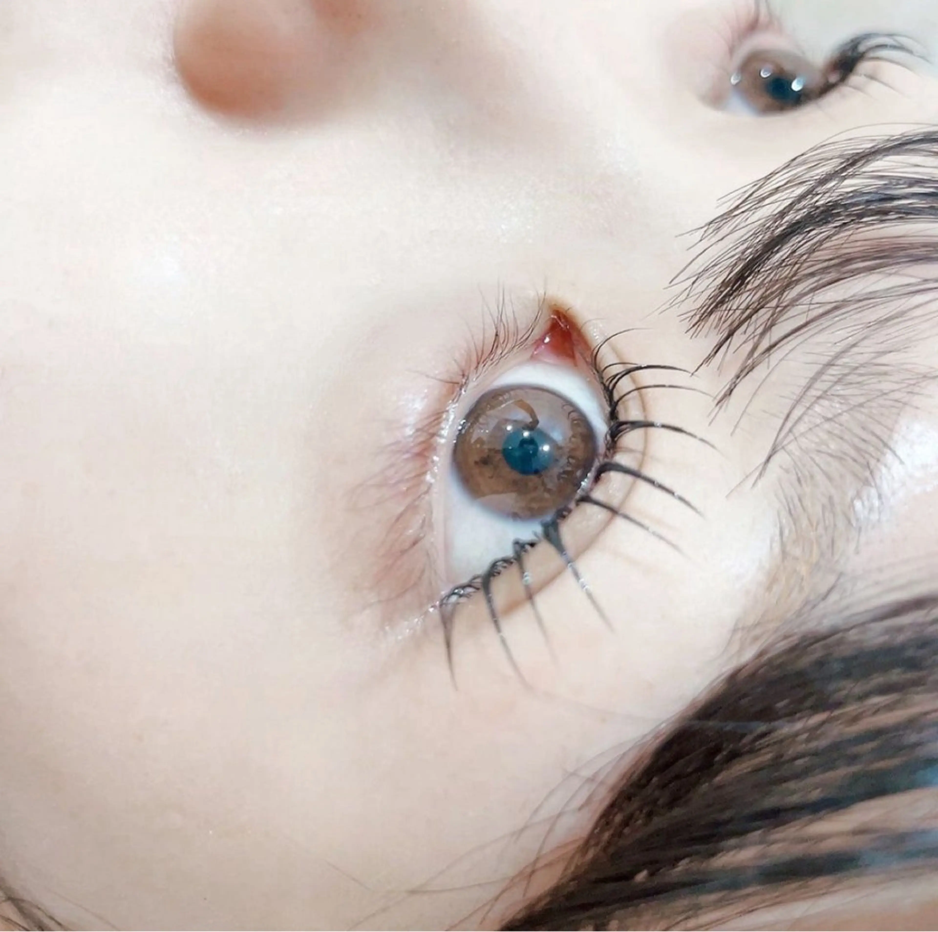 【リピーター様】🎀パリジェンヌラッシュリフトorラッシュリフト🎀◎minimo限定価格の写真