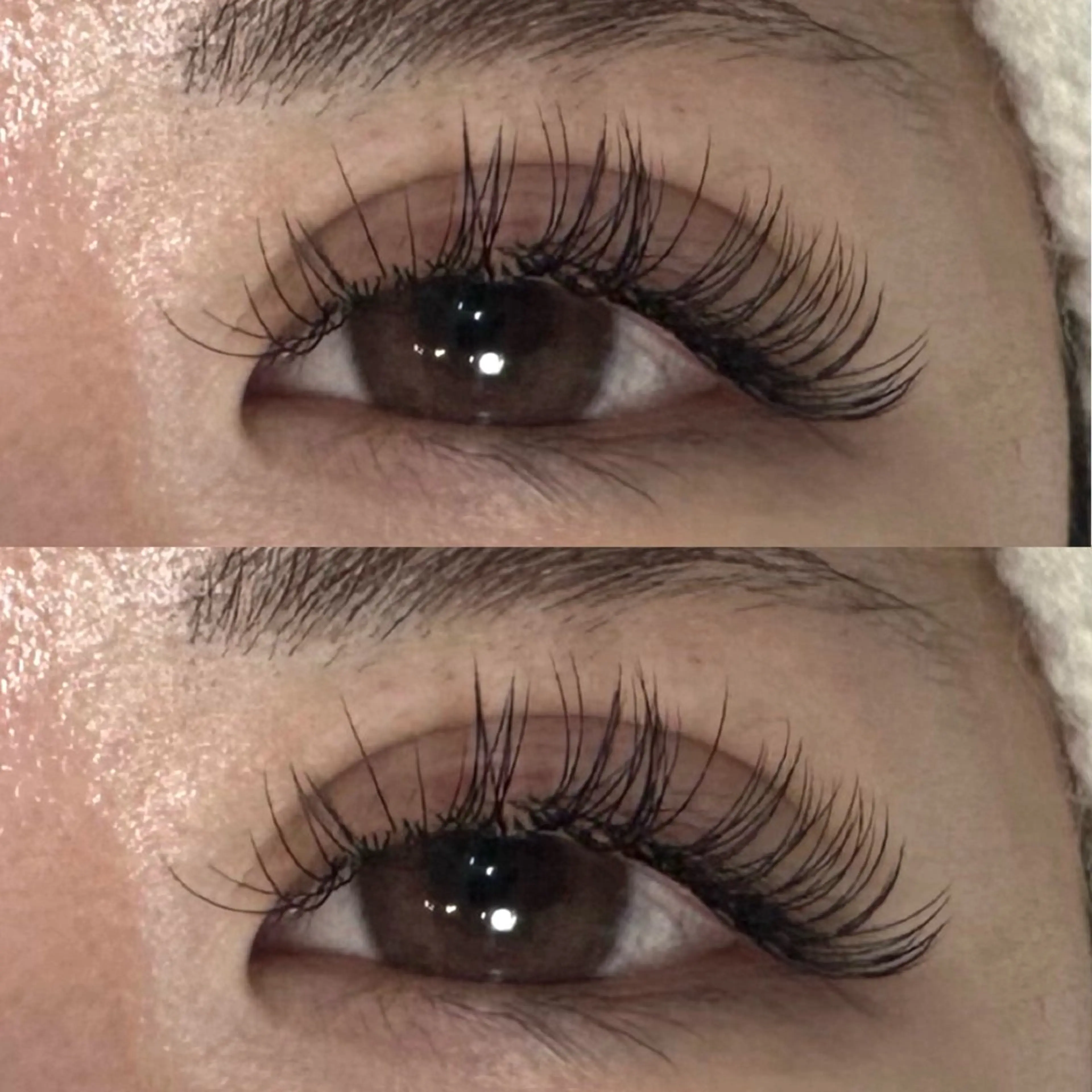 マツエク・マツパ Dカール 巻口 さくらのマツエク・マツパデザイン