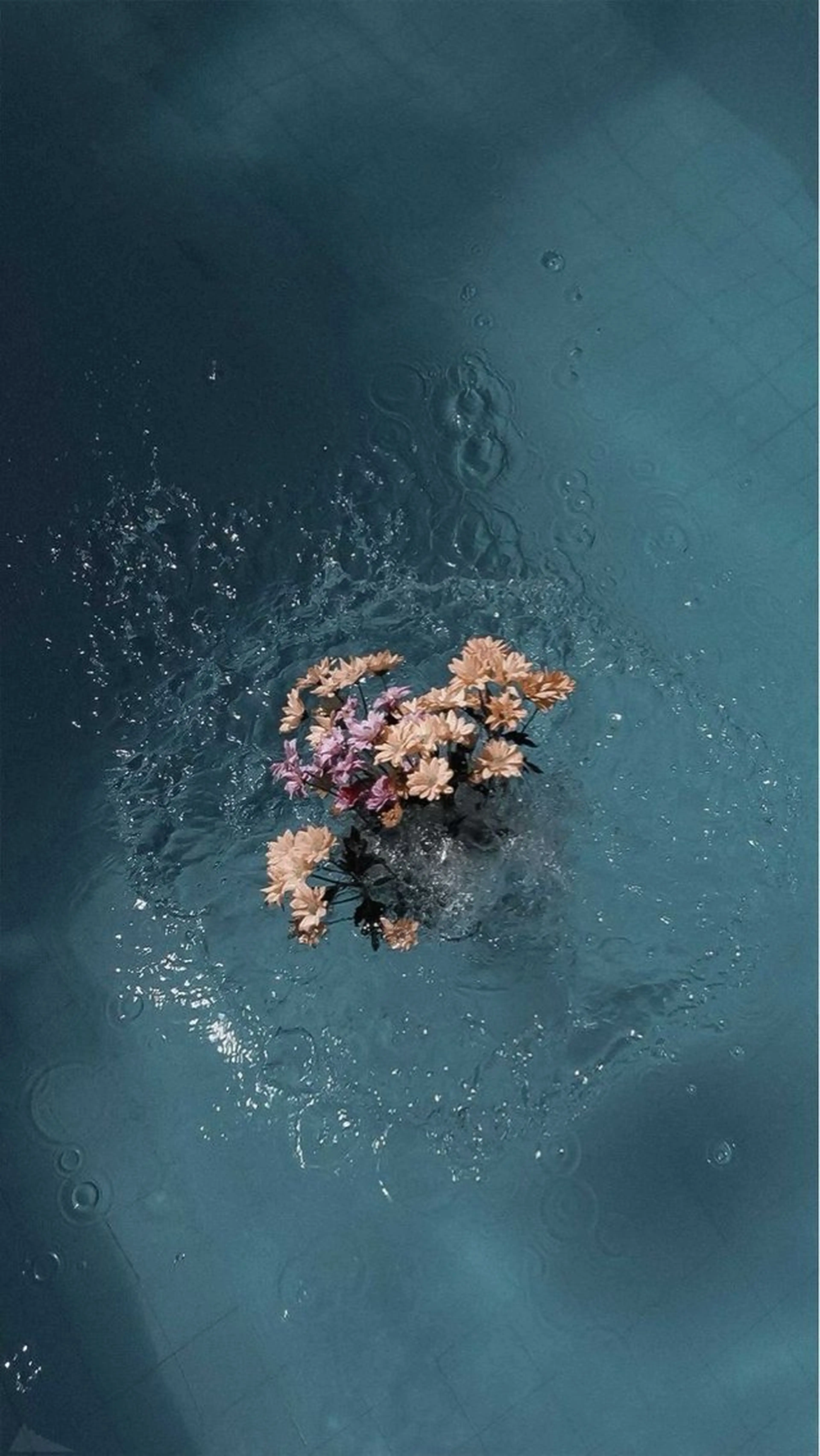 セミロング カラー ✂韓国レイヤー 🦋みやび🪽のヘアスタイル