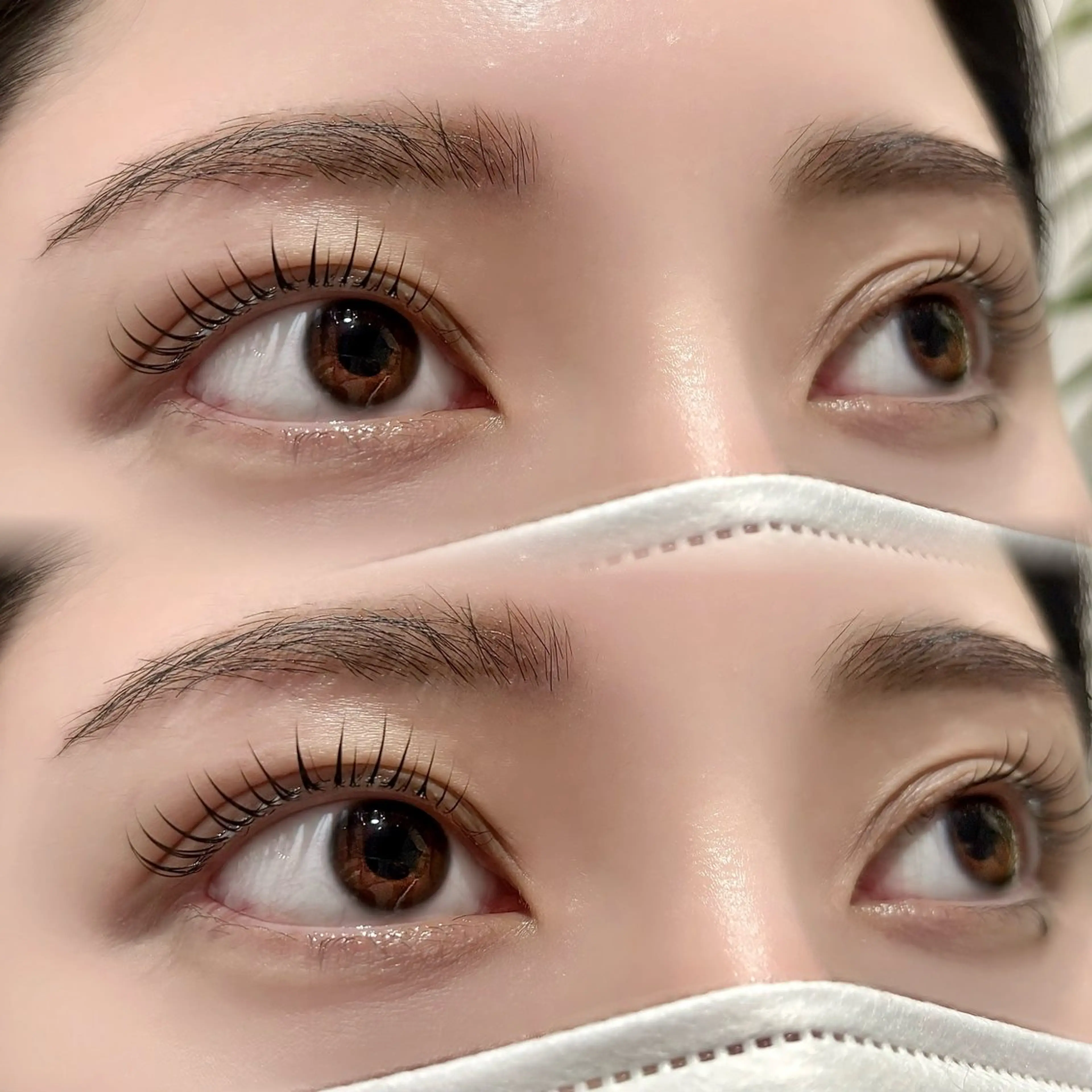 ˚✧₊⁎パリジェンヌラッシュリフト⁺˳✧༚🎀モデル🎀【所要時間90分】の写真