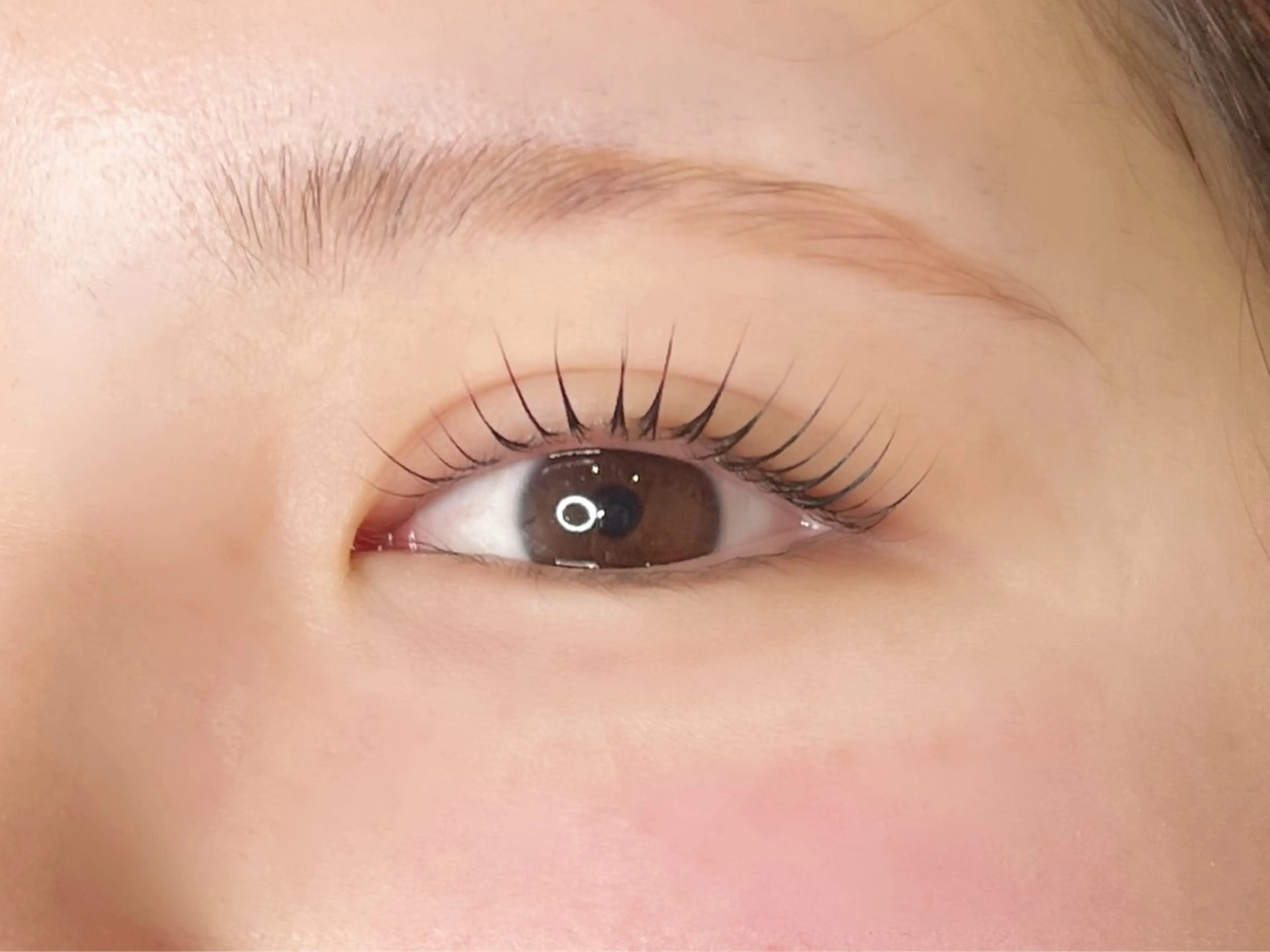 マツエク・マツパ パリジェンヌラッシュリフト fan.germe☆ Satsukiのマツエク・マツパデザイン