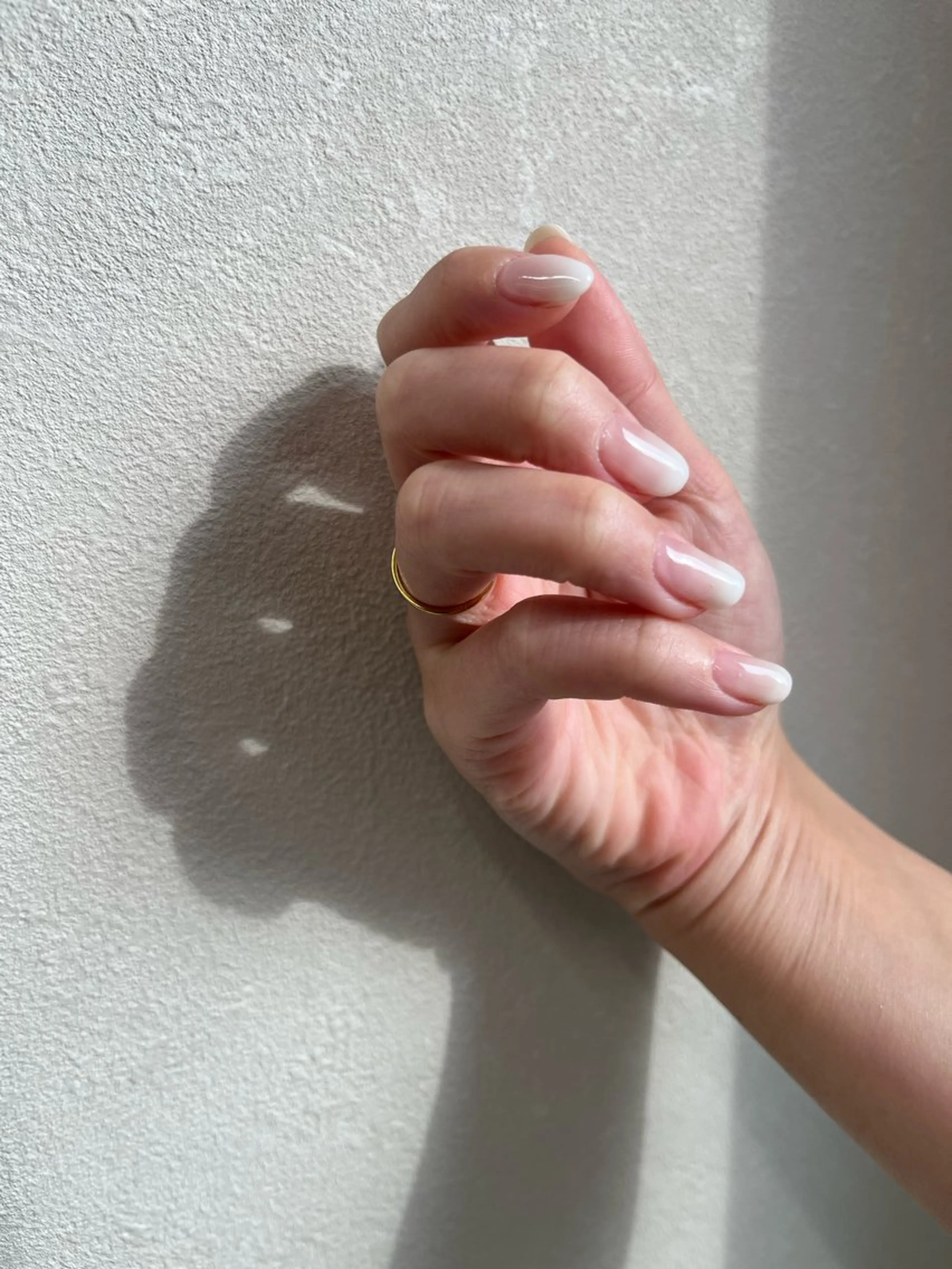 【オフなし】グラデーションの写真