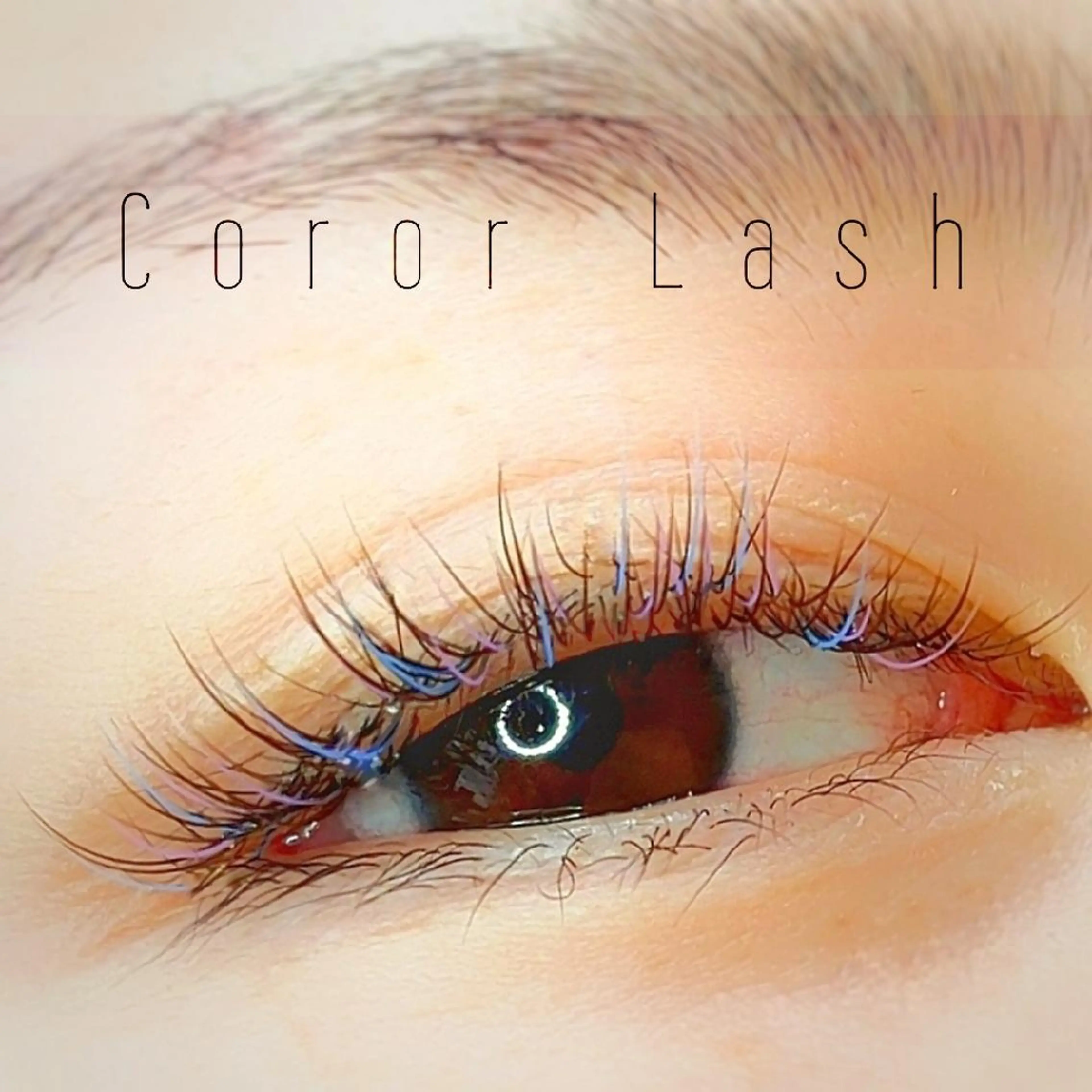 フラットカラー１００本の写真