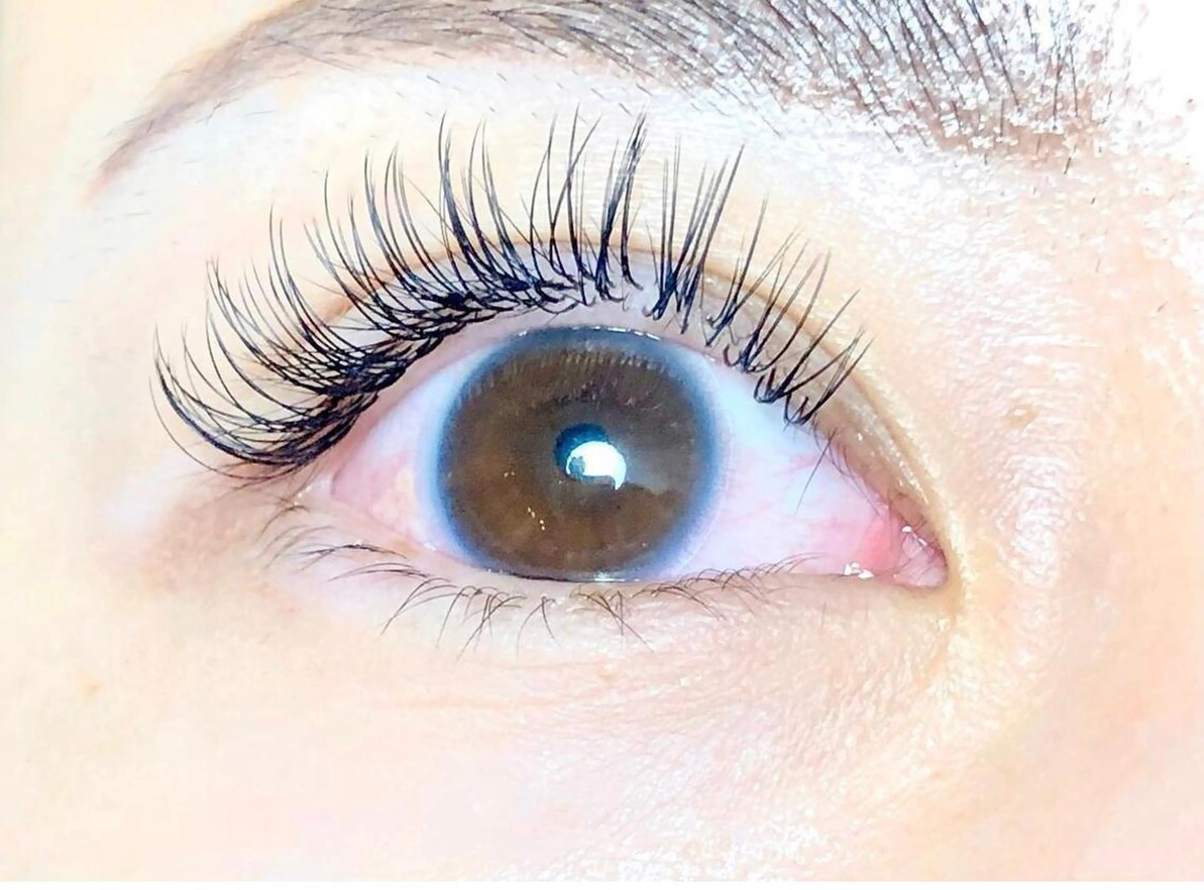 フラットマットラッシュつけ放題💚オフ•コーティング付きの写真