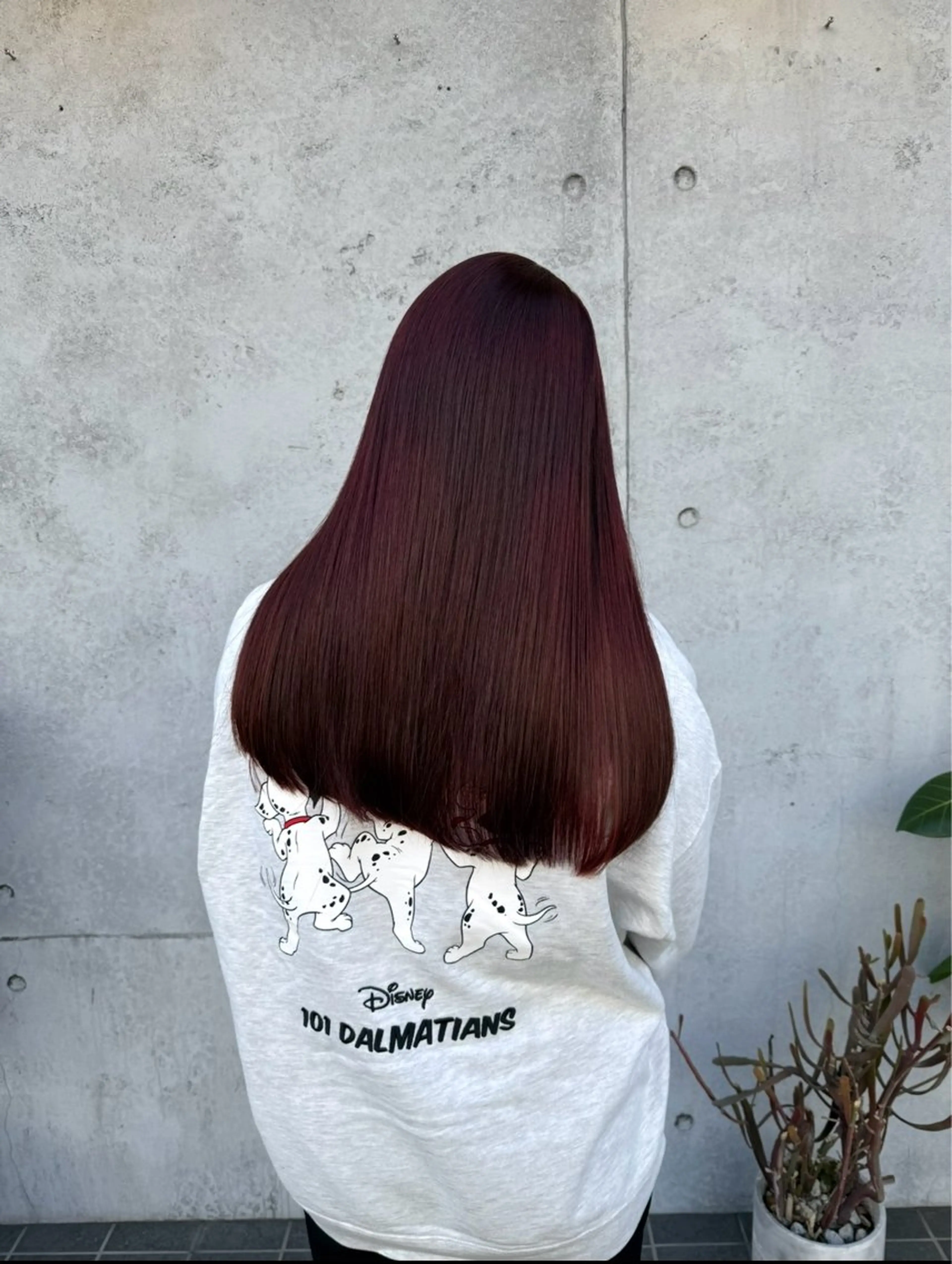 【春夏オススメ🩷🍷】暖色カラー　ブリーなしダブルカラー➕トリートメントの写真