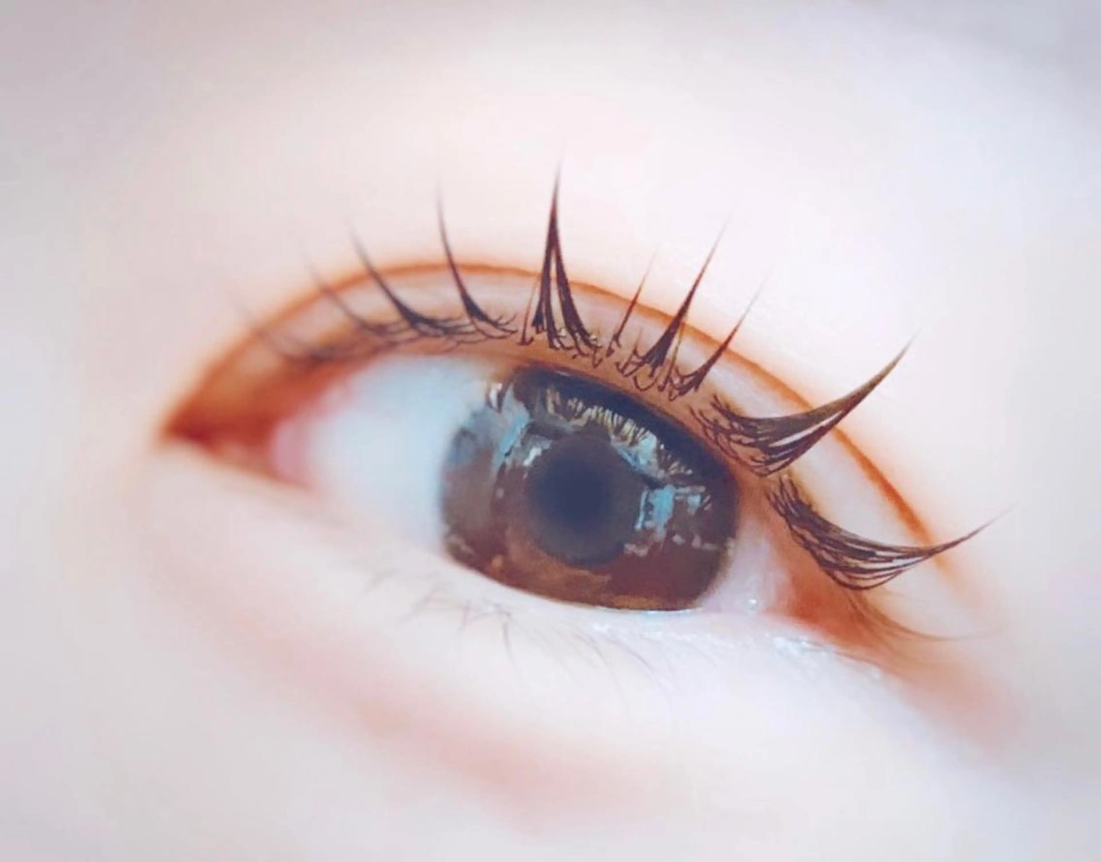 マツエク・マツパ 眉毛まつ毛専門店 uralogeのマツエク・マツパデザイン