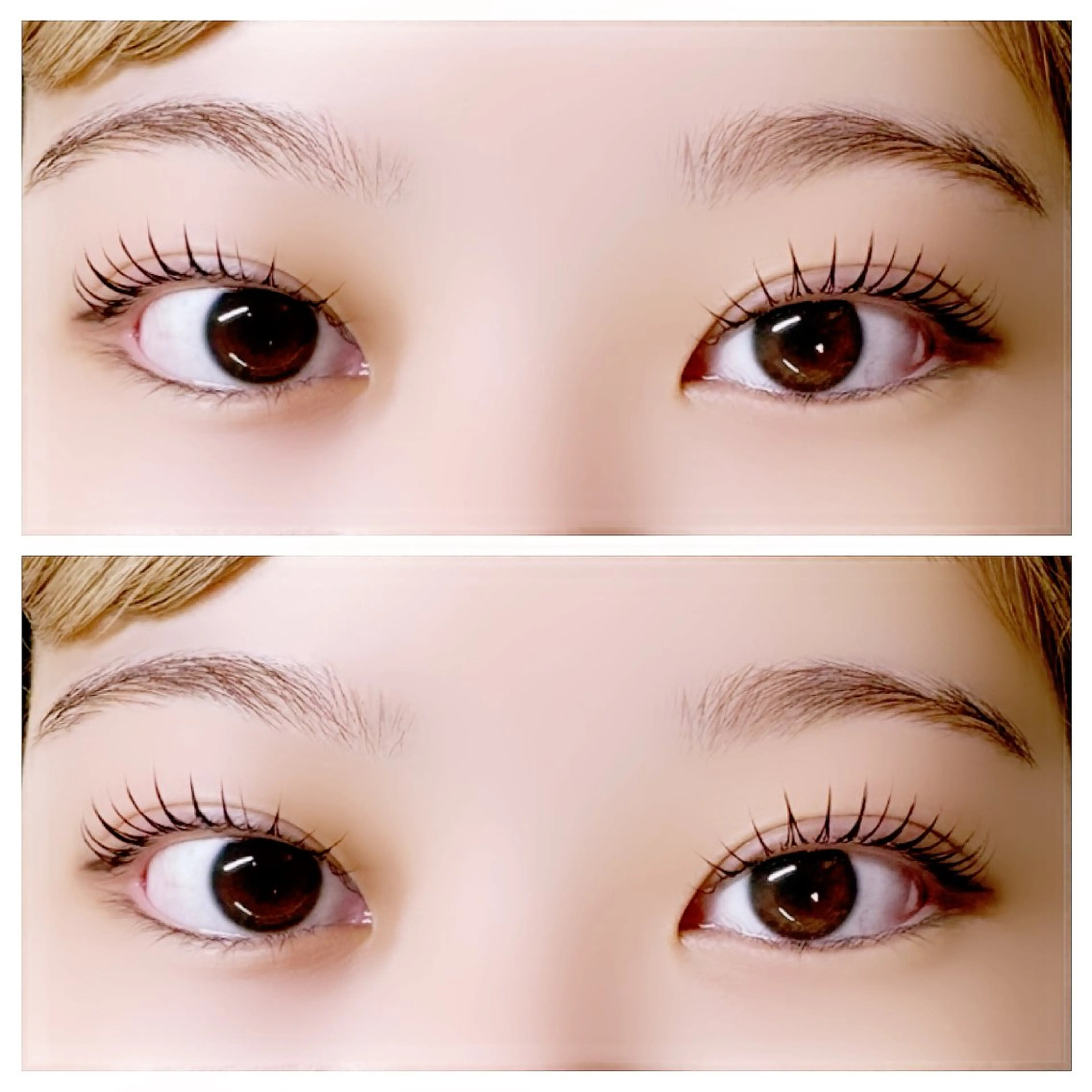 マツエク・マツパ 一重×まつ毛パーマ マツパ alice tokyo 髙橋★の眉毛・アイブロウイメージ