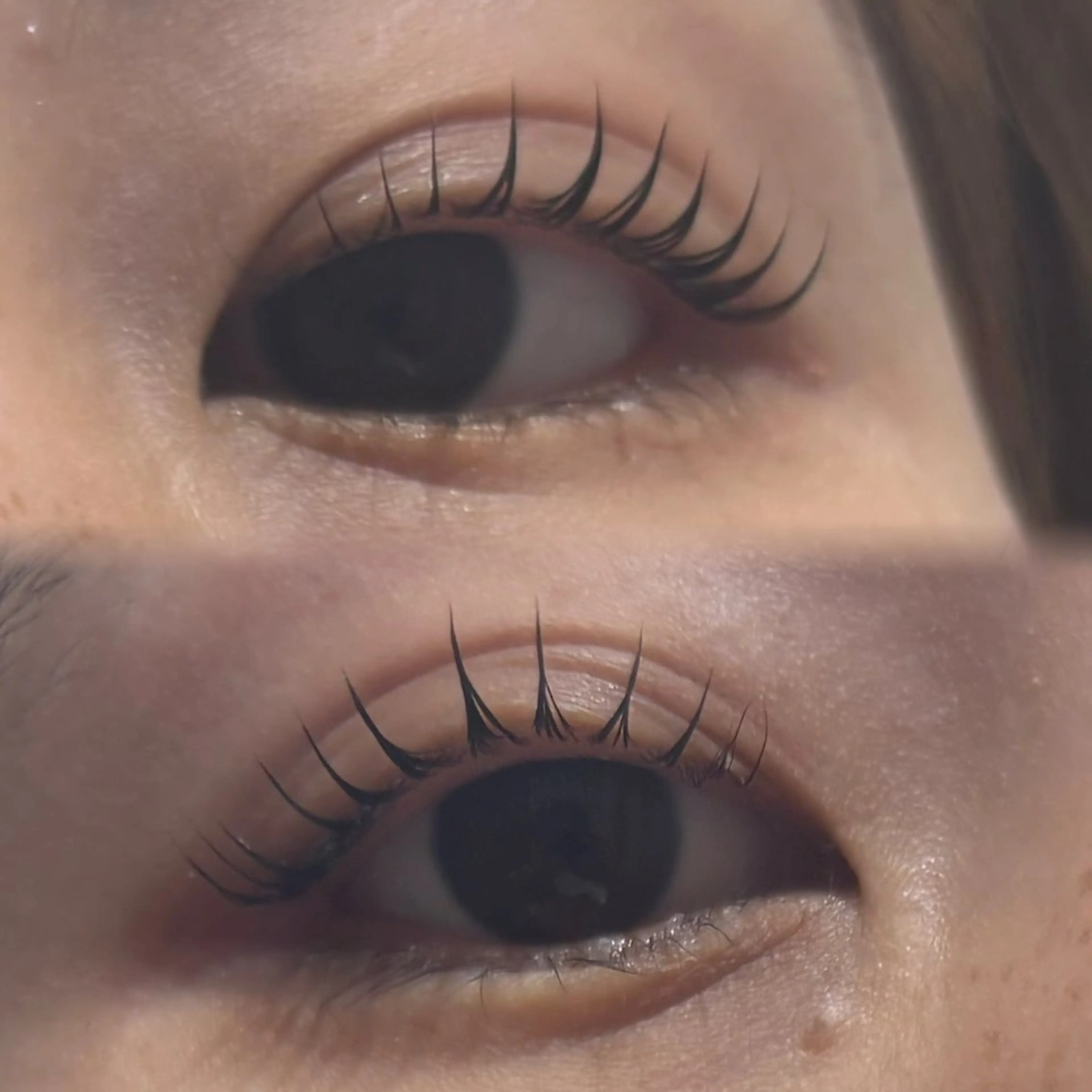 🩵ご新規様限定🩵パリジェンヌラッシュリフトカール🧸コーティング込¥3850の写真