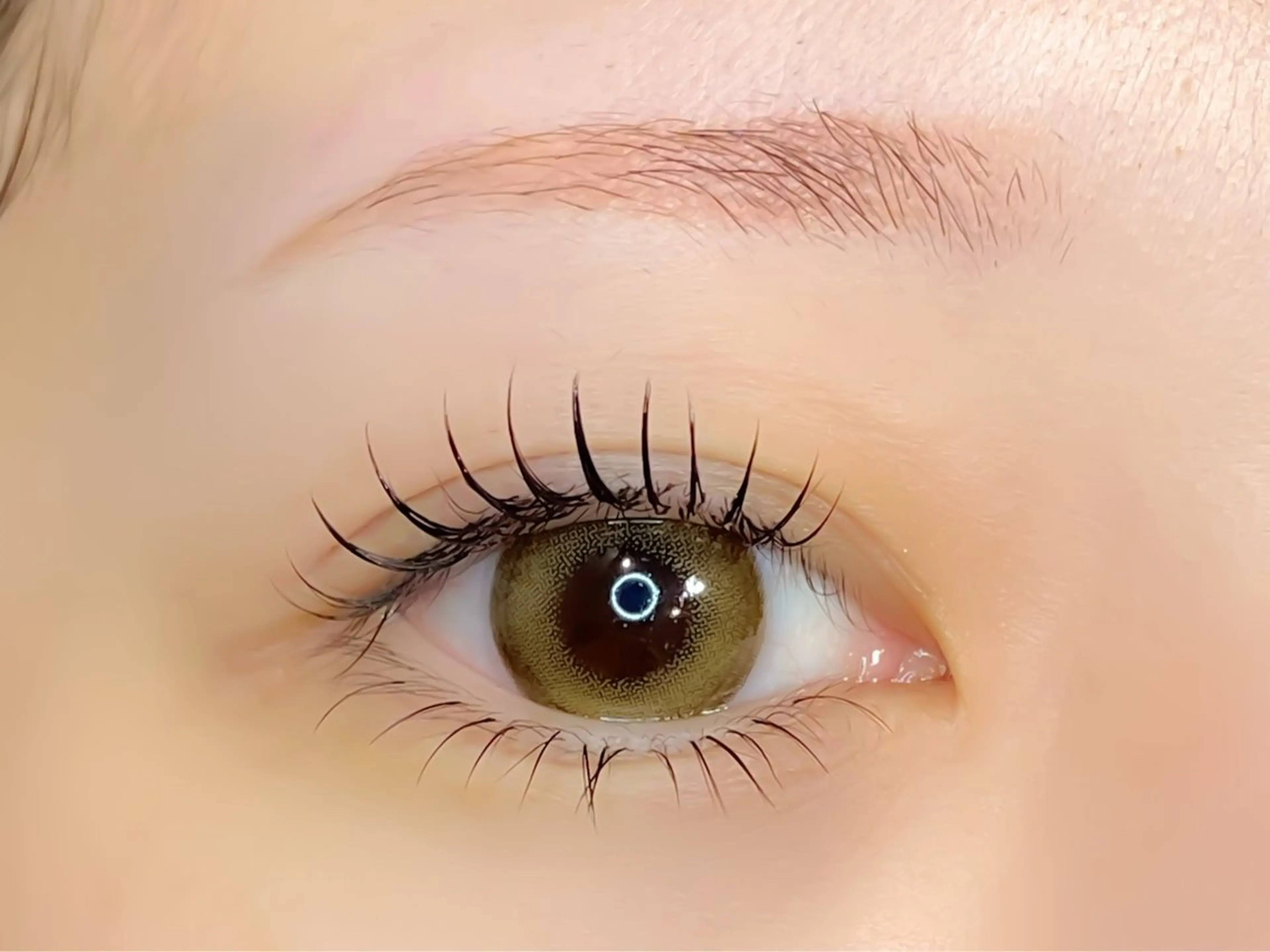 🔥期間限定🔥理想の組み合わせが実現👀LEDエクステ80本×まつげパーマ（オフ＋アイシャンプー＋コーティング込）の写真