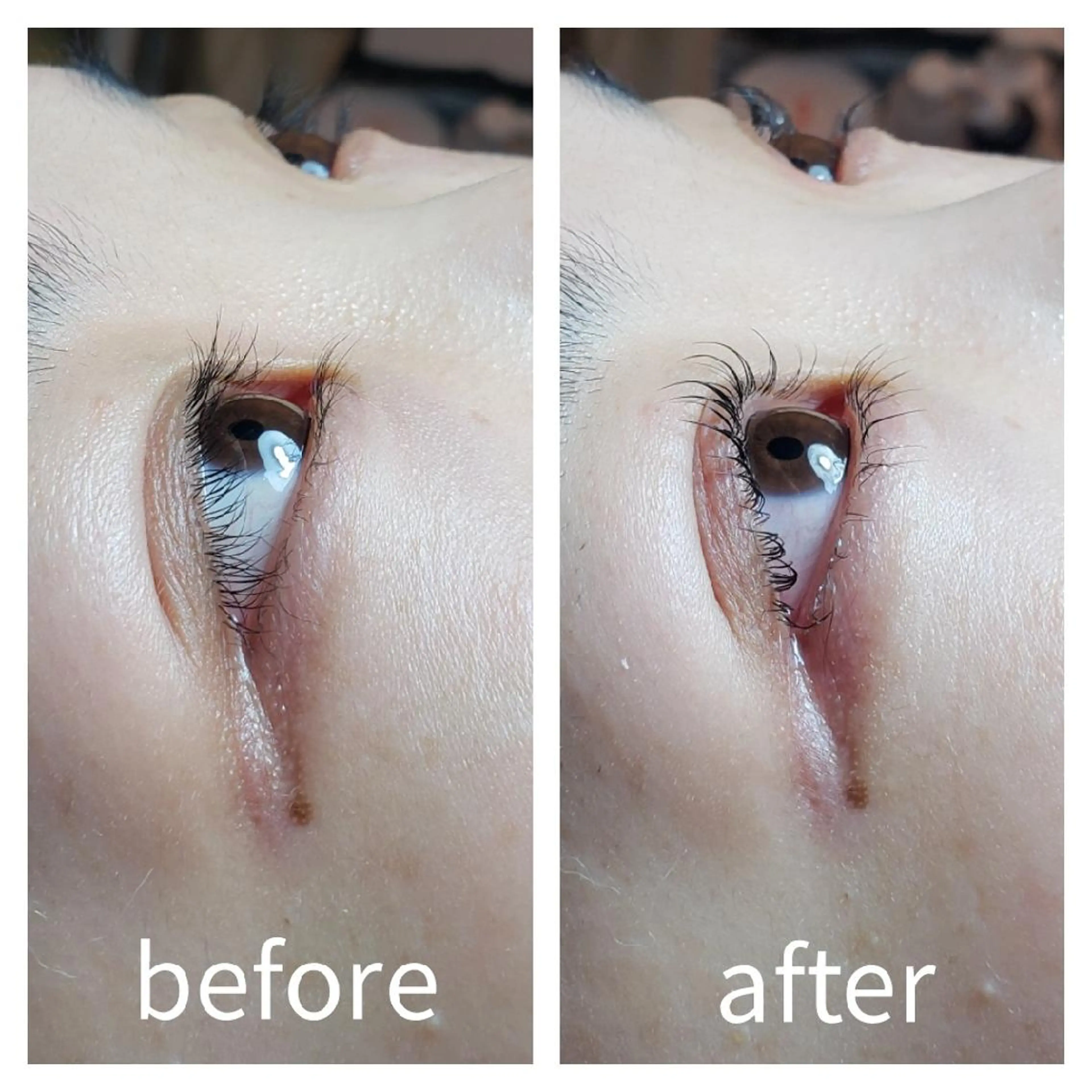 ラスティングカール 下の写真