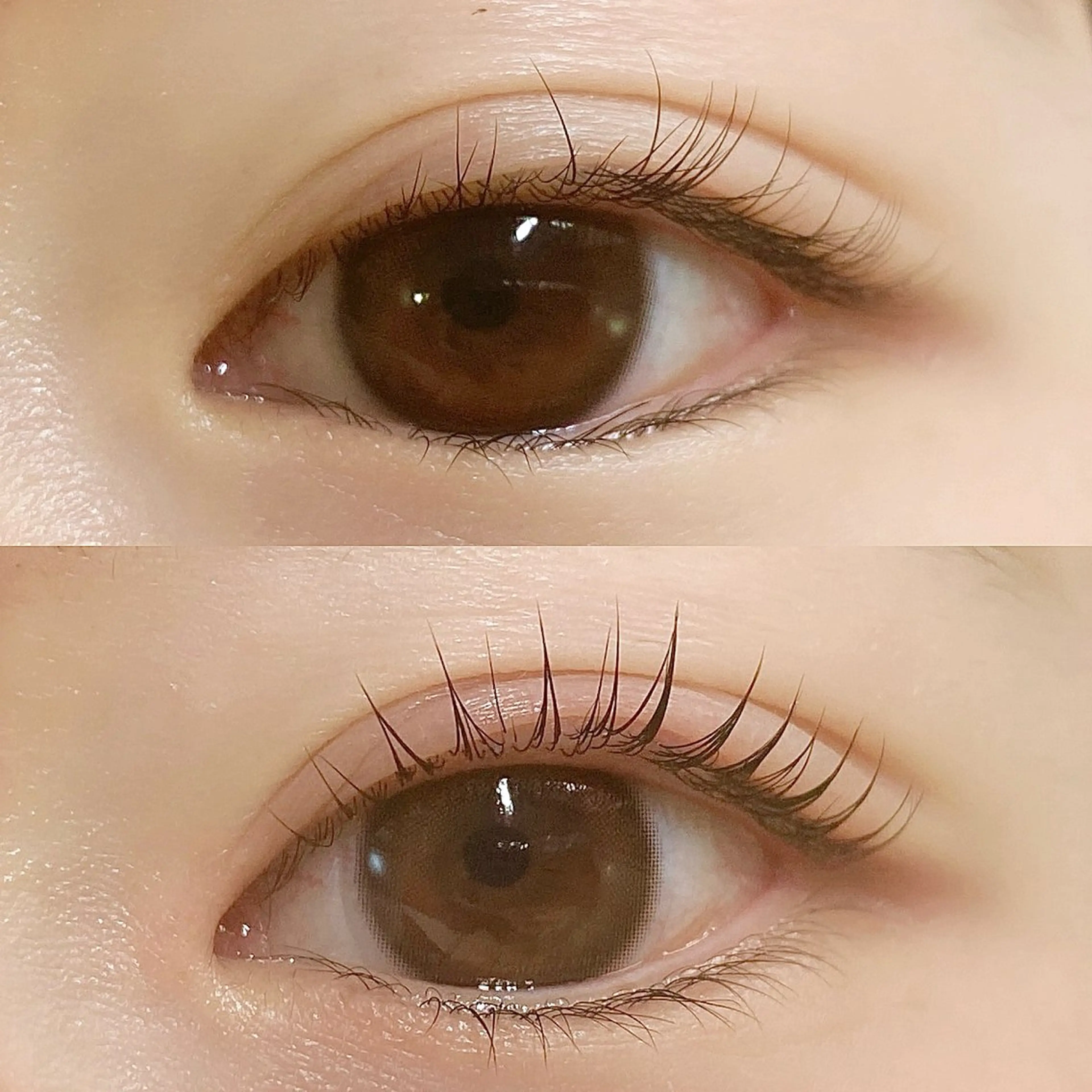 マツエク・マツパ パリジェンヌラッシュリフト マツパ Eyelash 🎀 𝐀𝐲𝐮𝐦𝐢のマツエク・マツパデザイン