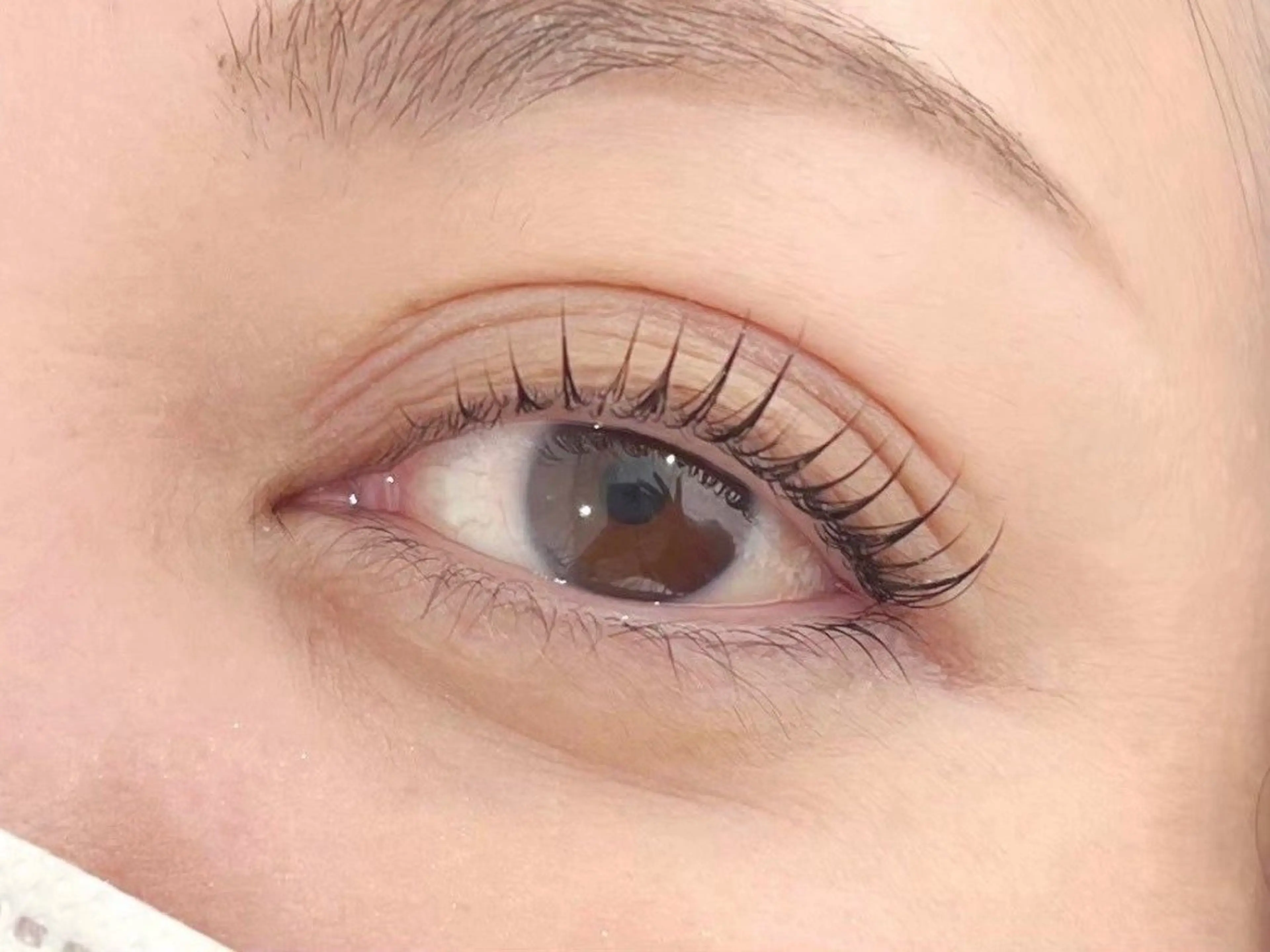 潤いまつ毛パーマ♥ 6,600円→2,500円♥の写真