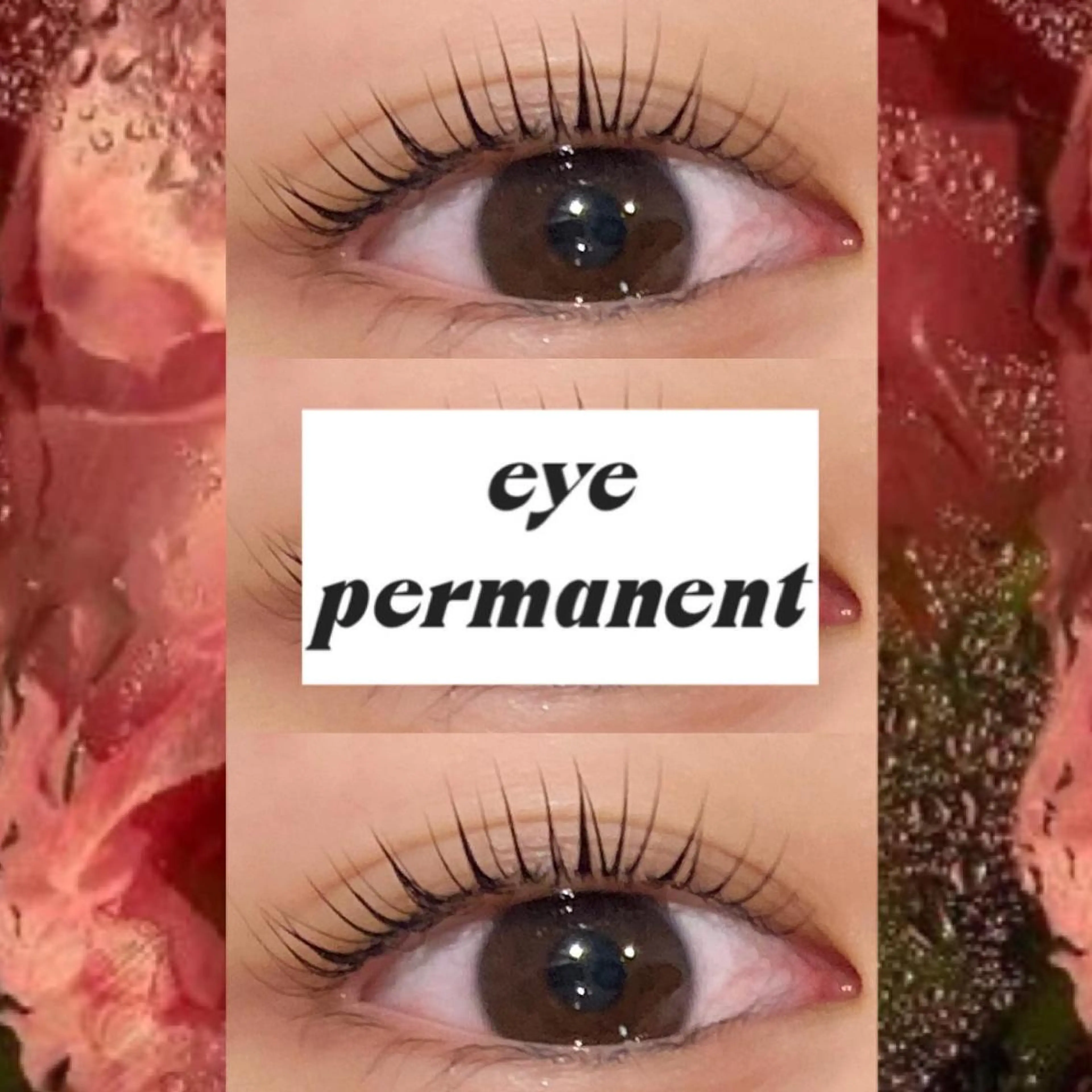 マツエク・マツパ ブラウンラッシュ 束感まつ毛 カラーマツエク フラットラッシュ 韓国風マツエク orihara𐙚 まつげパーマ/眉毛のマツエク・マツパデザイン