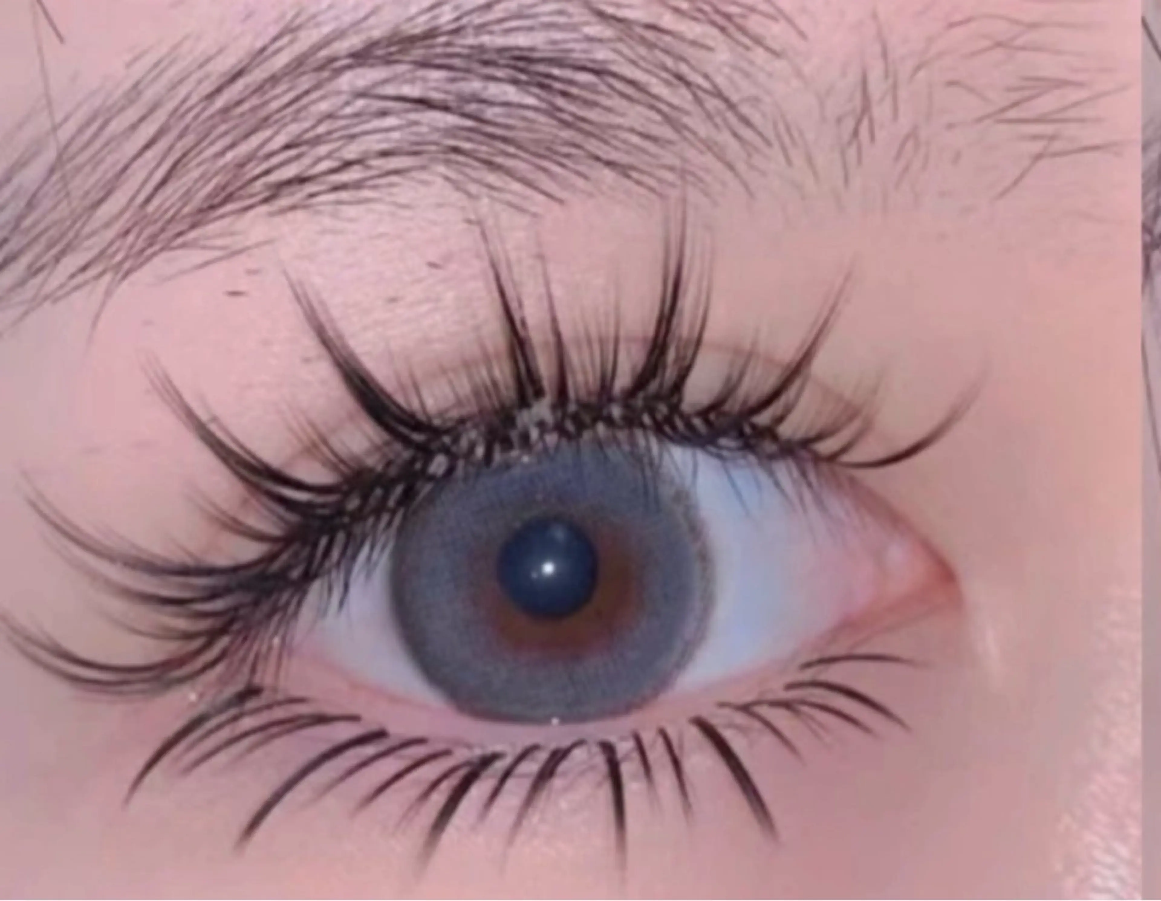 【期間限定】LED×漫画ワンホンマツエク濃密PLUS+++(上下つけ放題)¥14980の写真