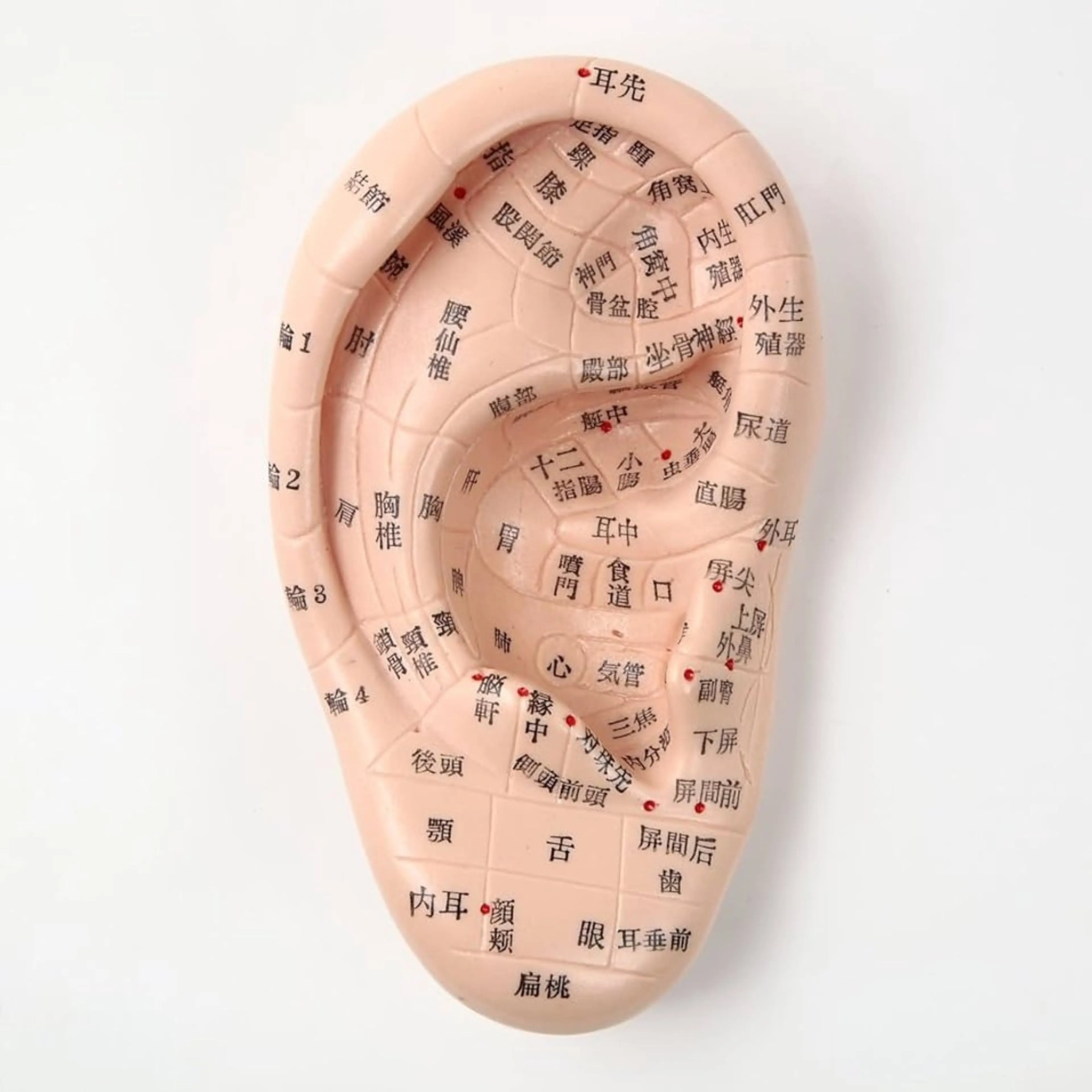 【快眠・視界クリア】 耳から整う心身メンテのエステ・リラクイメージ