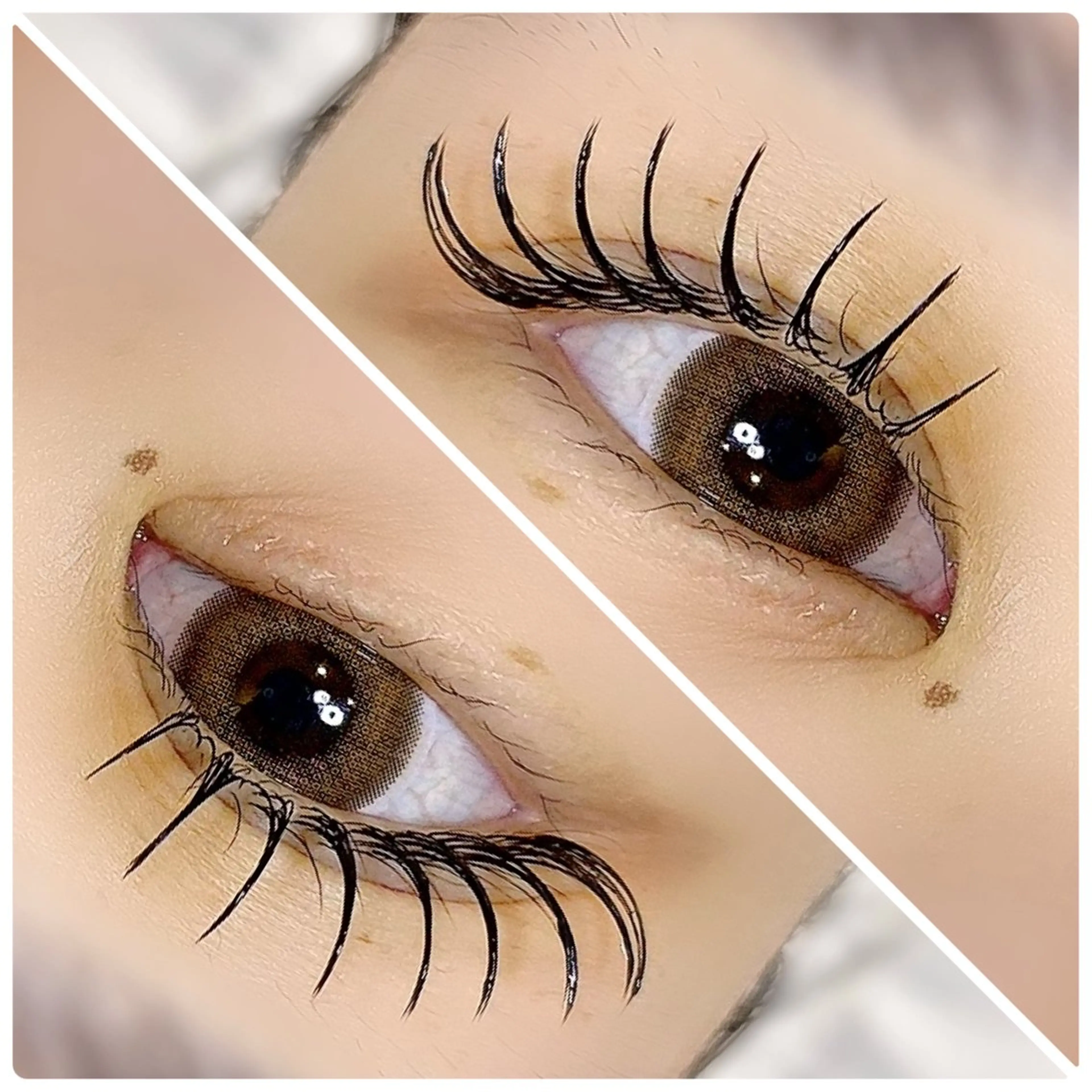 🌼特別価格！フラットラッシュオフ込み100本🫶🌼の写真