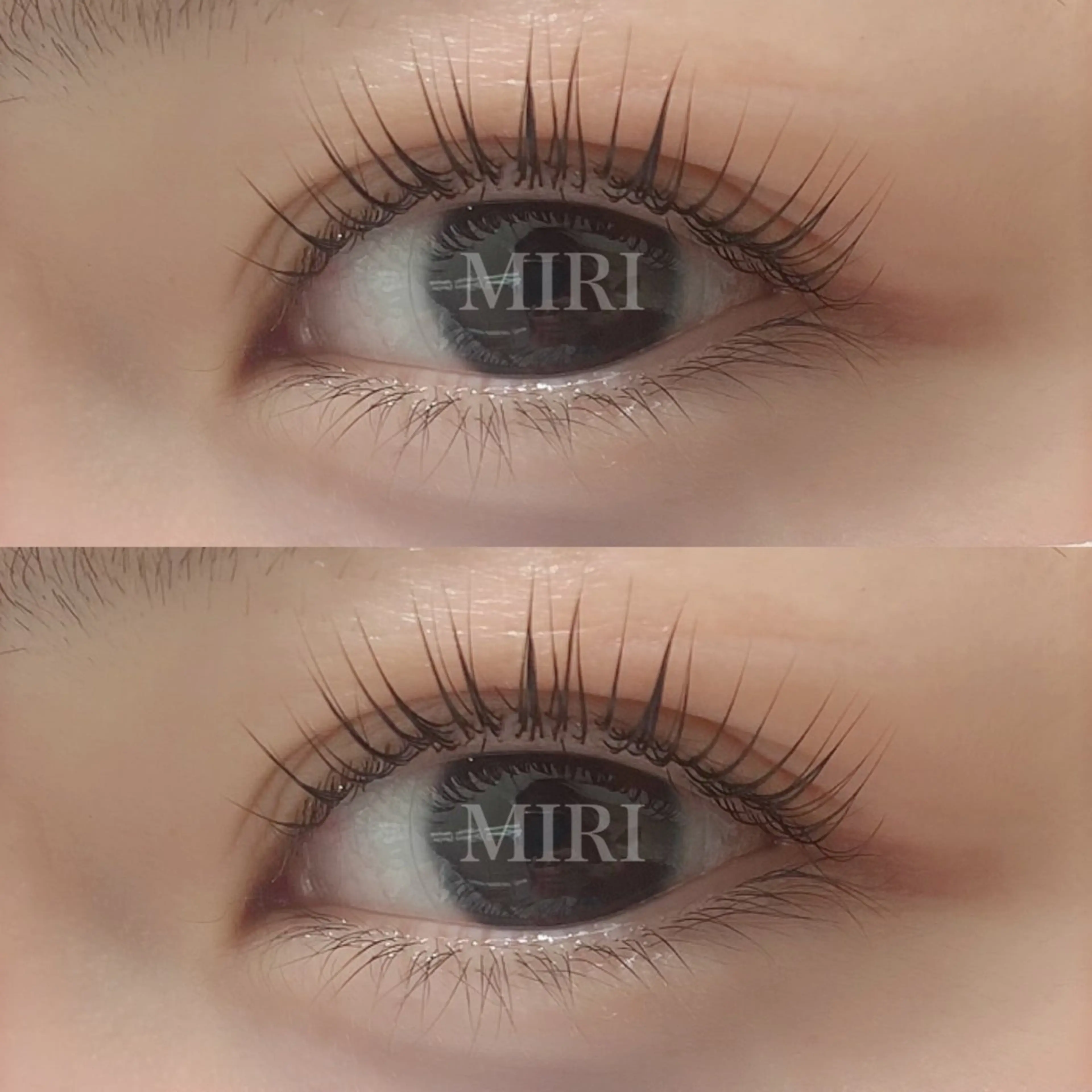 マツエク・マツパ マツパ まつげパーマ&アイブロウMIRI所属・🌷まつ毛パーマ 専門店MIRI 🌷のマツエク・マツパデザイン