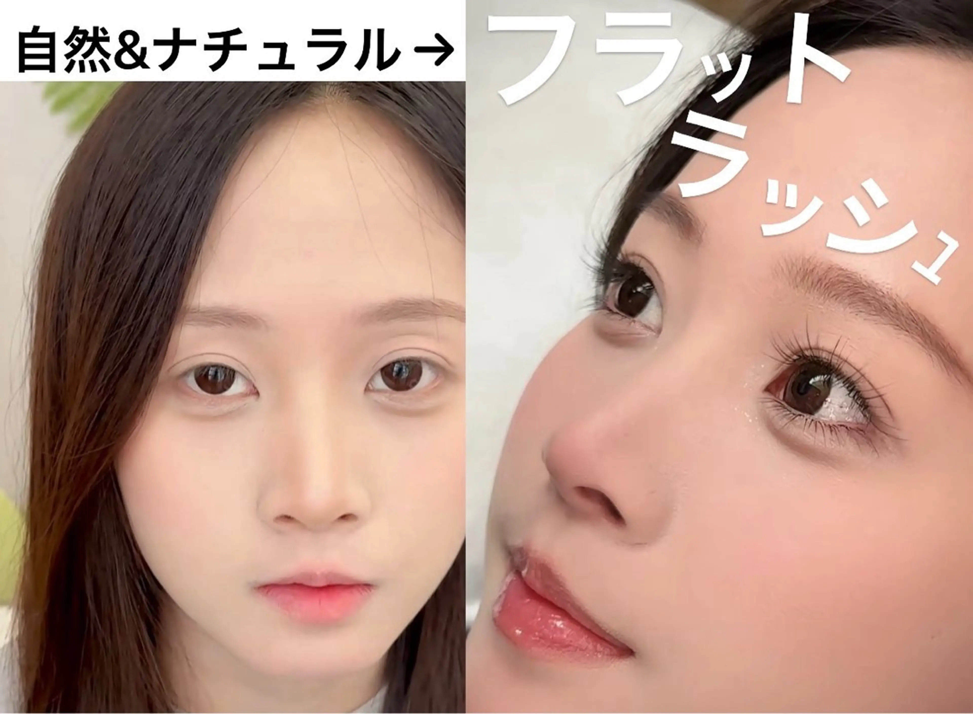 フラットラッシュ上100本の写真