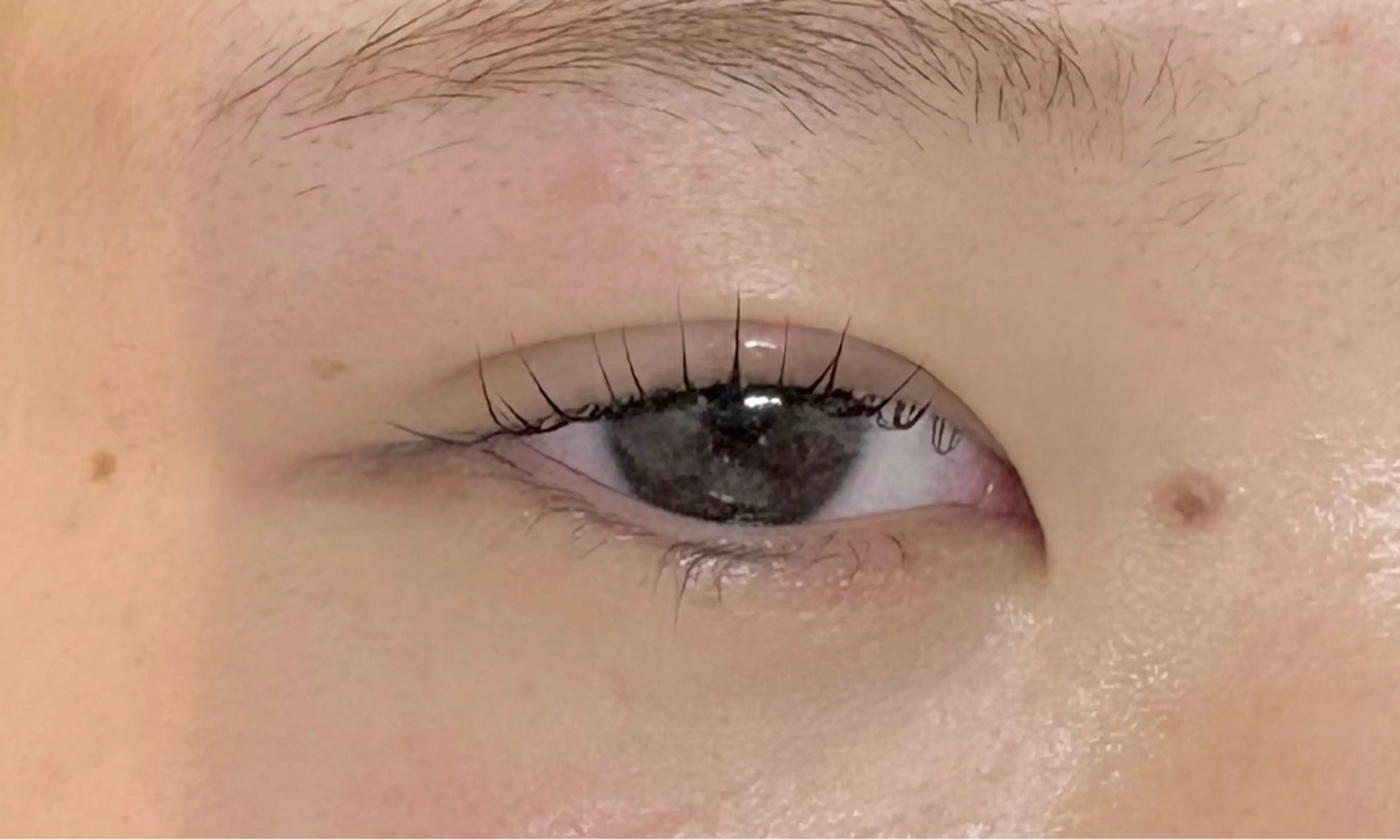 マツエク・マツパ Holus Moriguchiのマツエク・マツパデザイン