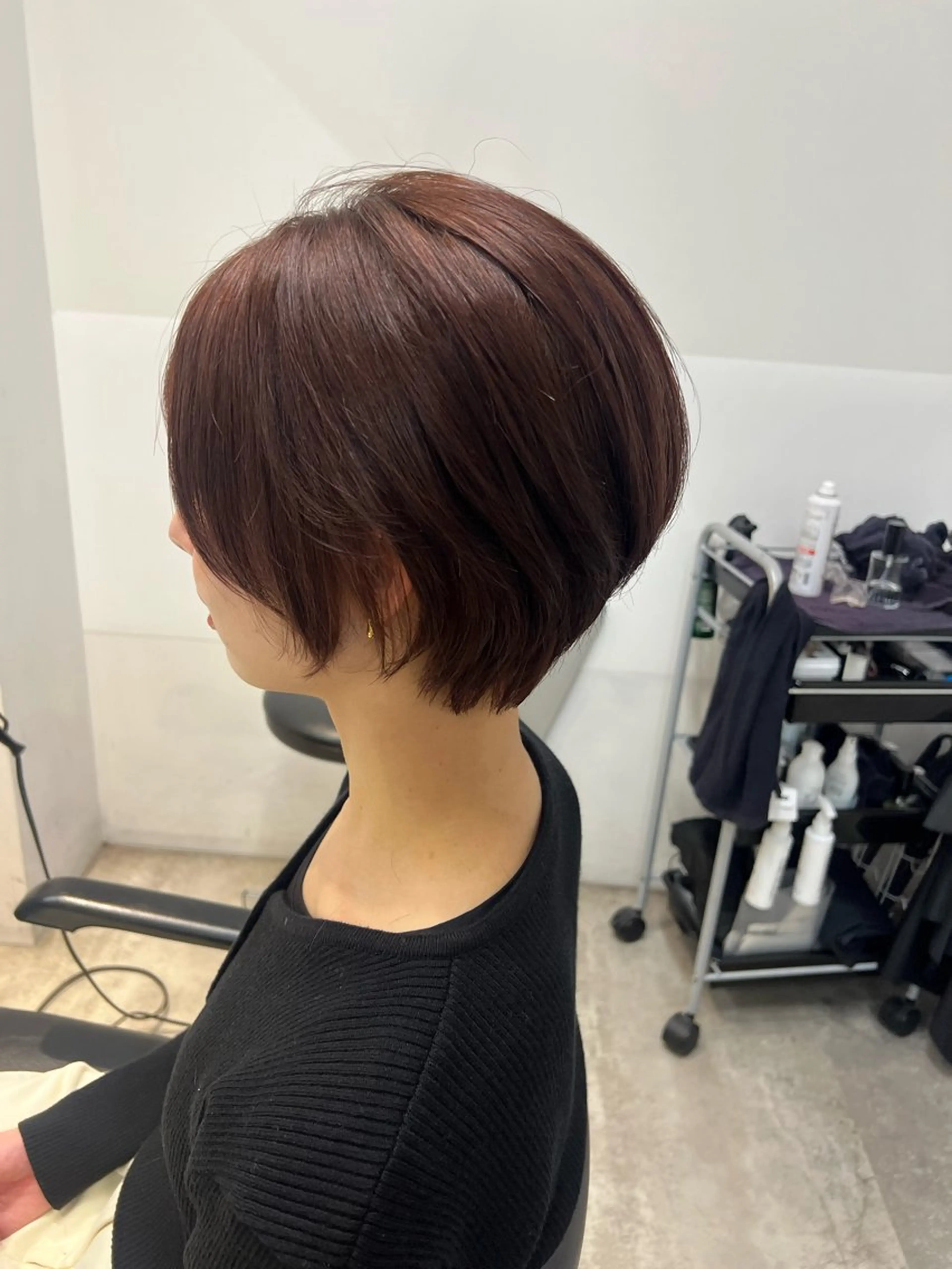 ショート カラー ブラウンカラー ピンクカラー ピンクブラウン ショートヘア カット ヘアカラー トリートメント ウルフレイヤーカット /チヒロのヘアスタイル