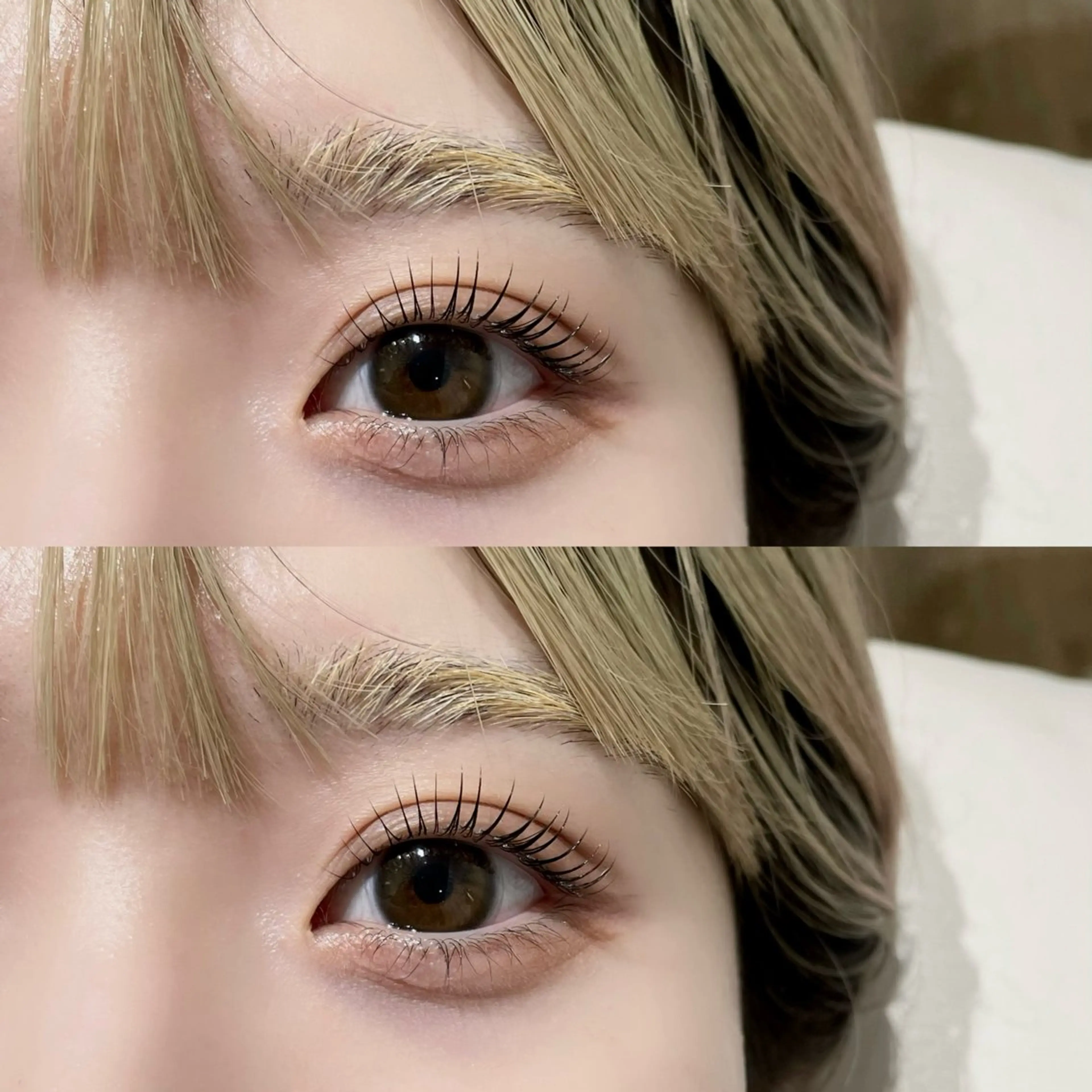 【リピーター様限定】💙🦕まつ毛パーマ【ケア付き】🦕💙の写真