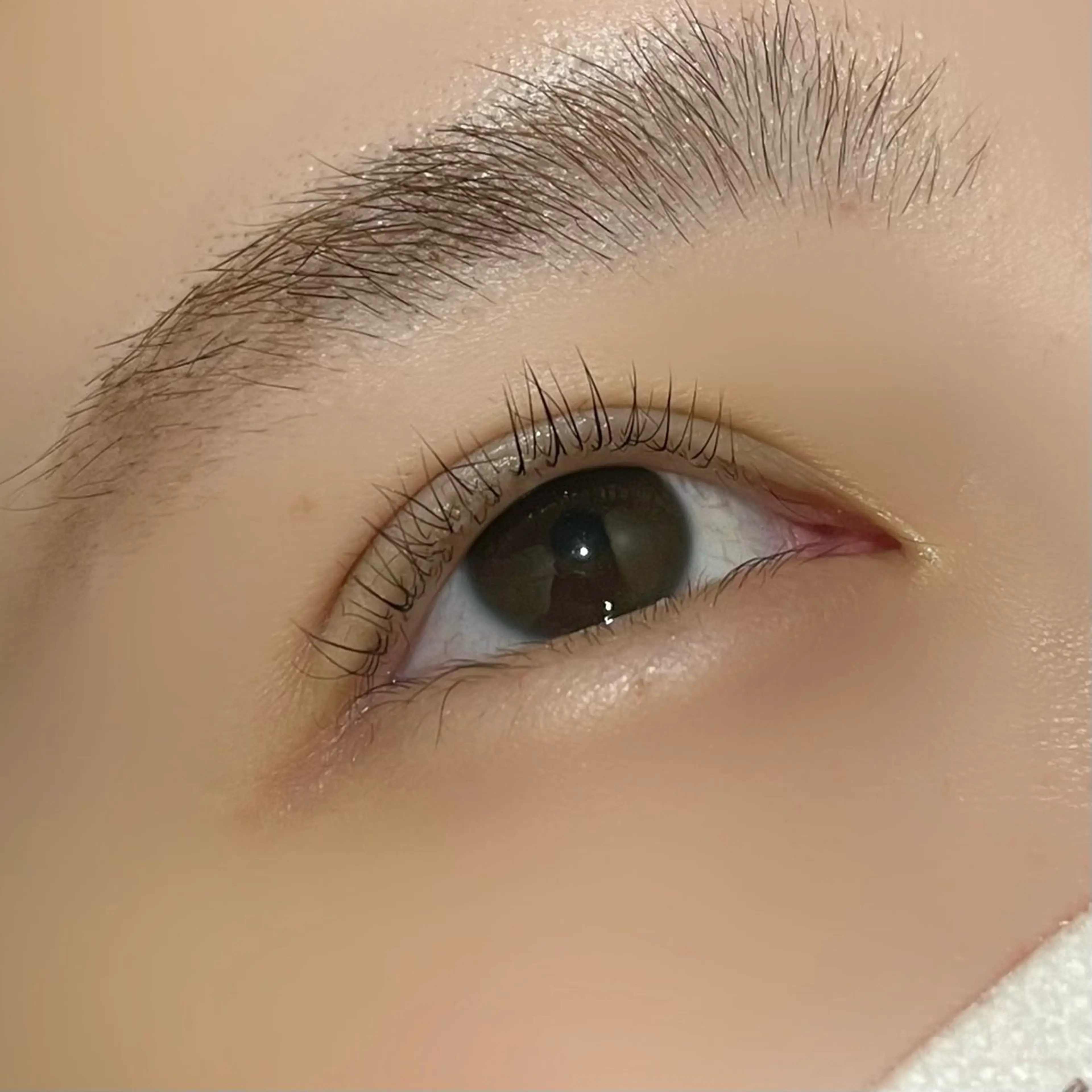 マツエク・マツパ マツパ I'm annex sala 南草津店所属・福山 聖李のマツエク・マツパデザイン