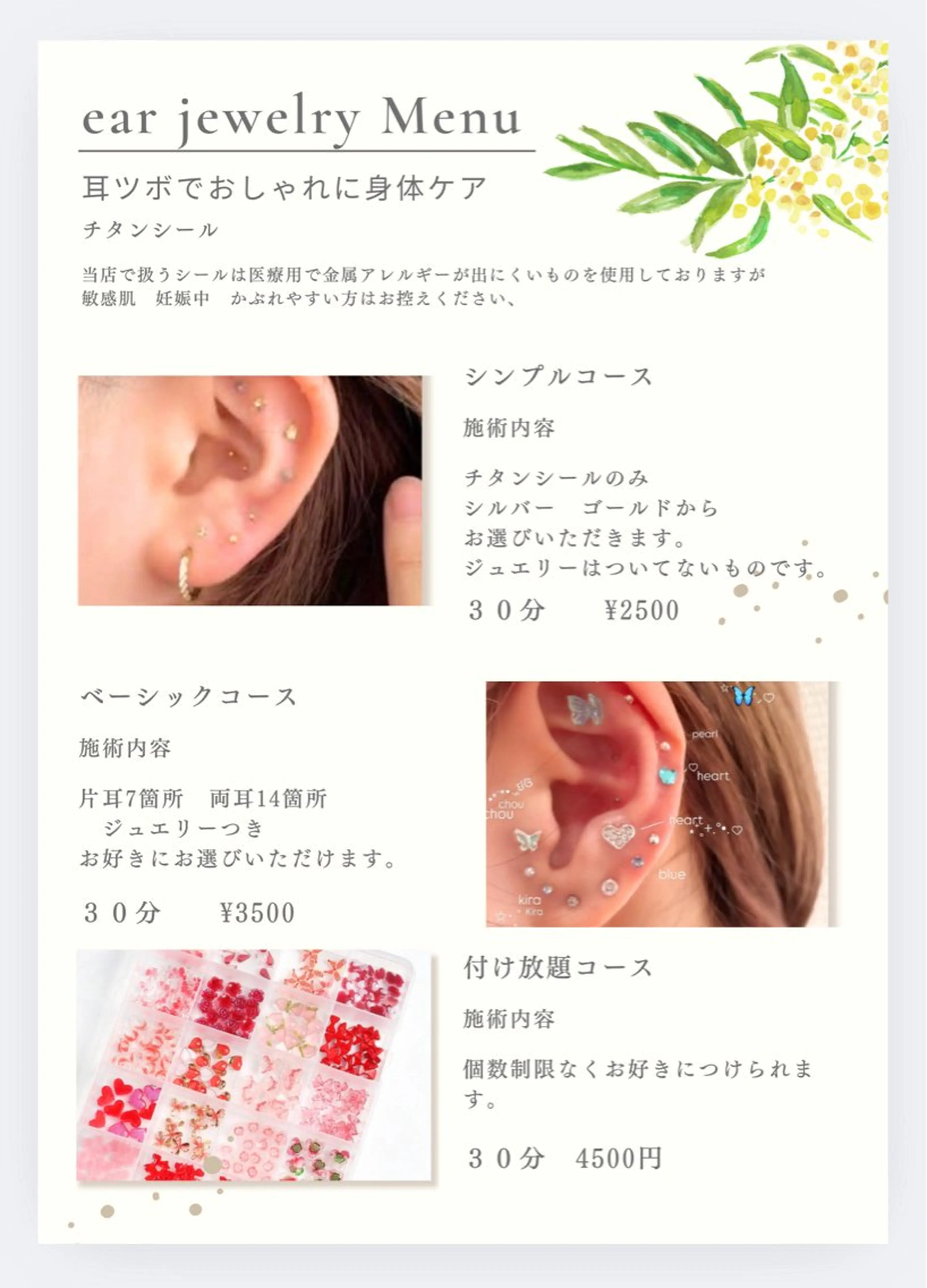 💎【SNSで話題！】宇都宮耳つぼジュエリー💎の写真