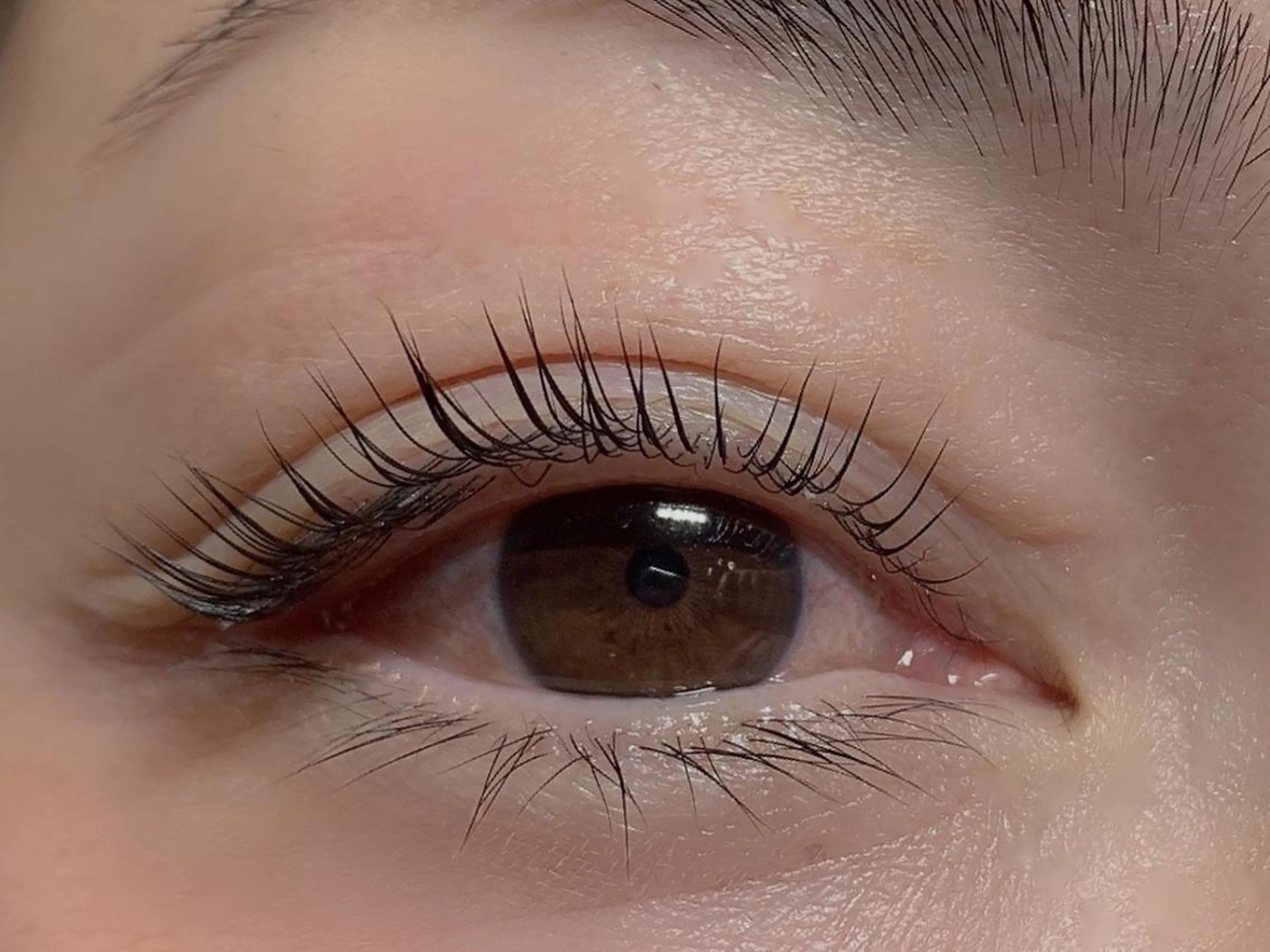 マツエク・マツパ 野口 あいこのエステ・リラクイメージ