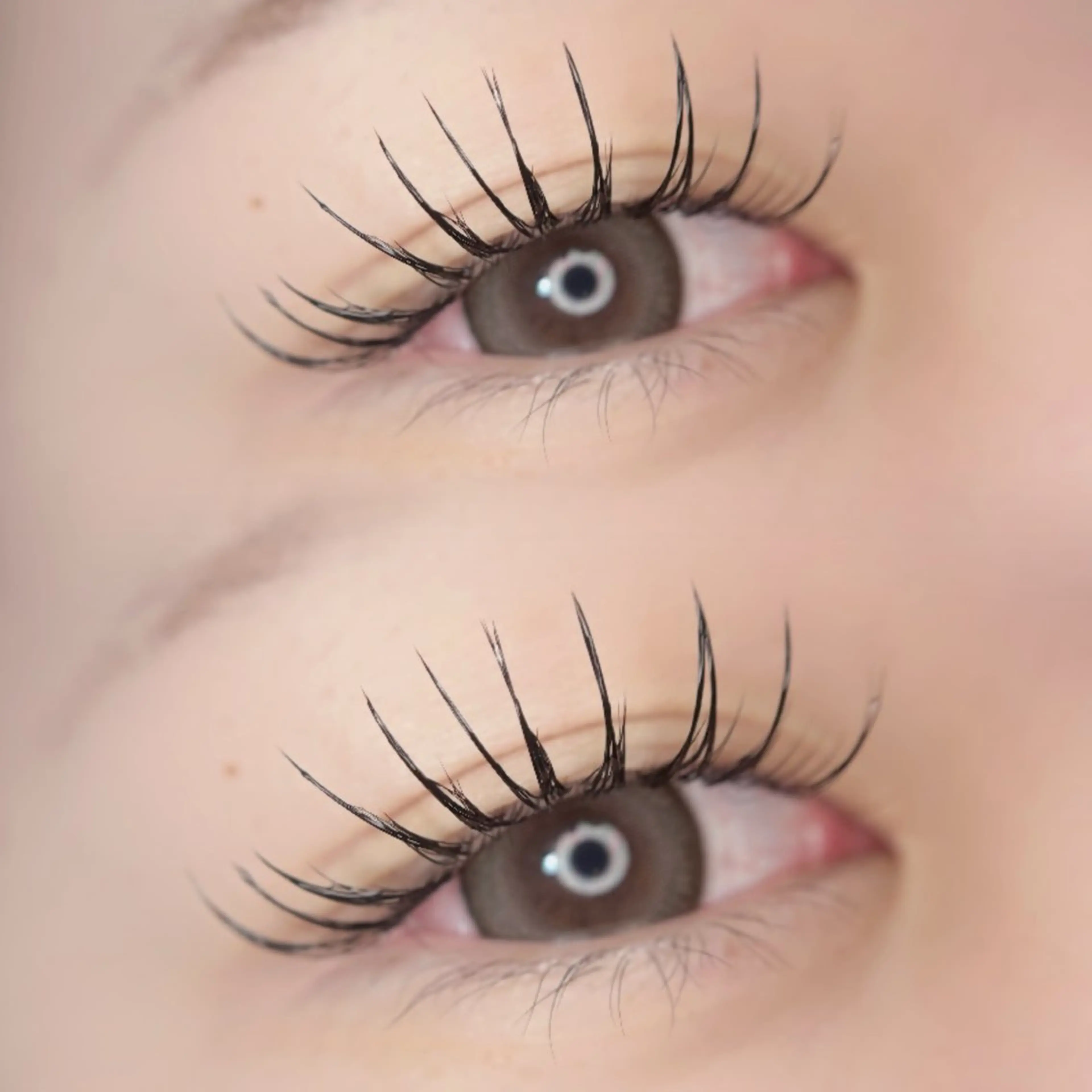 マツエク・マツパ パリジェンヌラッシュリフト 🦋MaaZlash 南流山FUKA🤍のマツエク・マツパデザイン