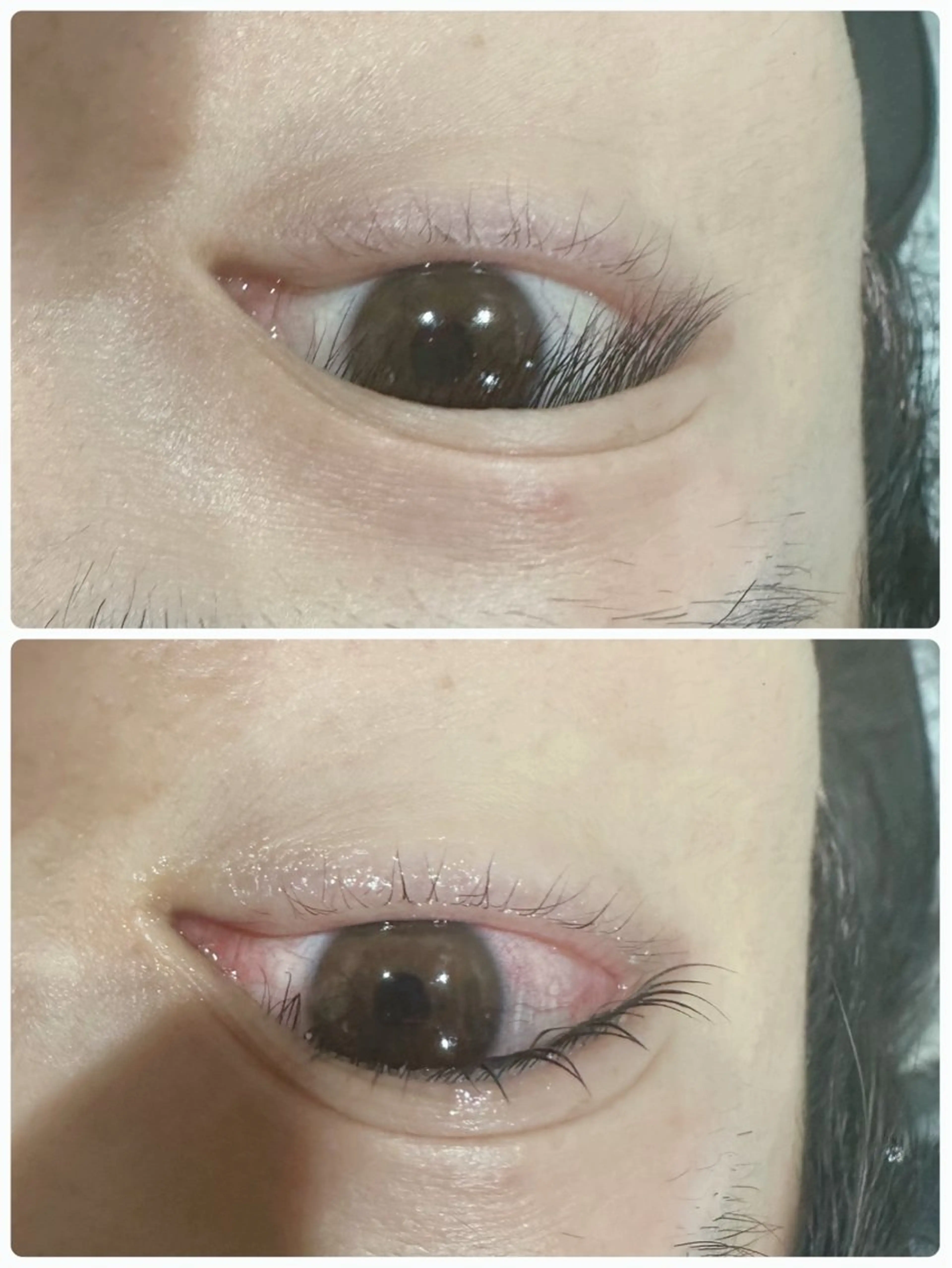 根本から立ち上げラッシュリフト👀1500円相当のまつげトリートメント付✨の写真