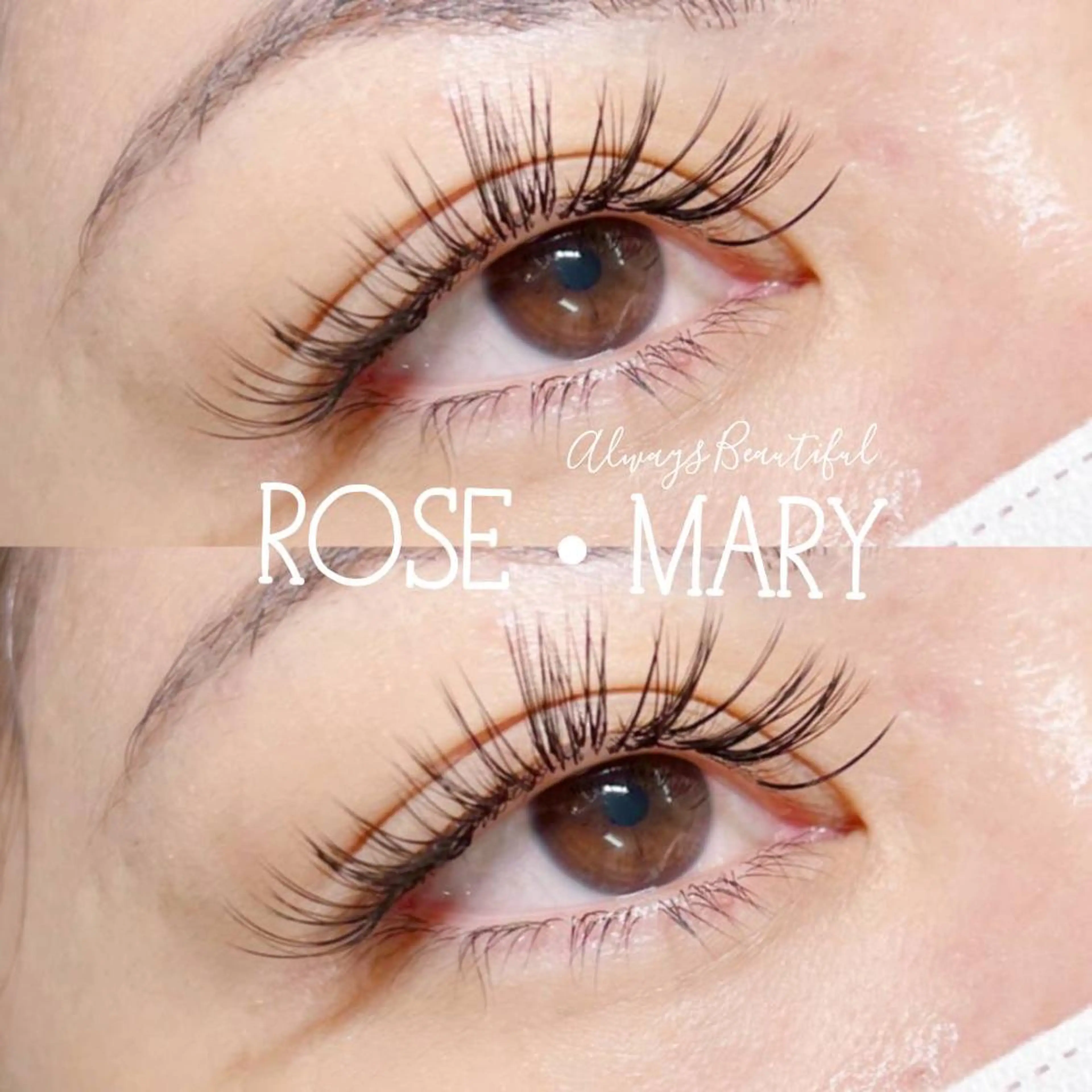 バインドロック🥀100束<200本>の写真