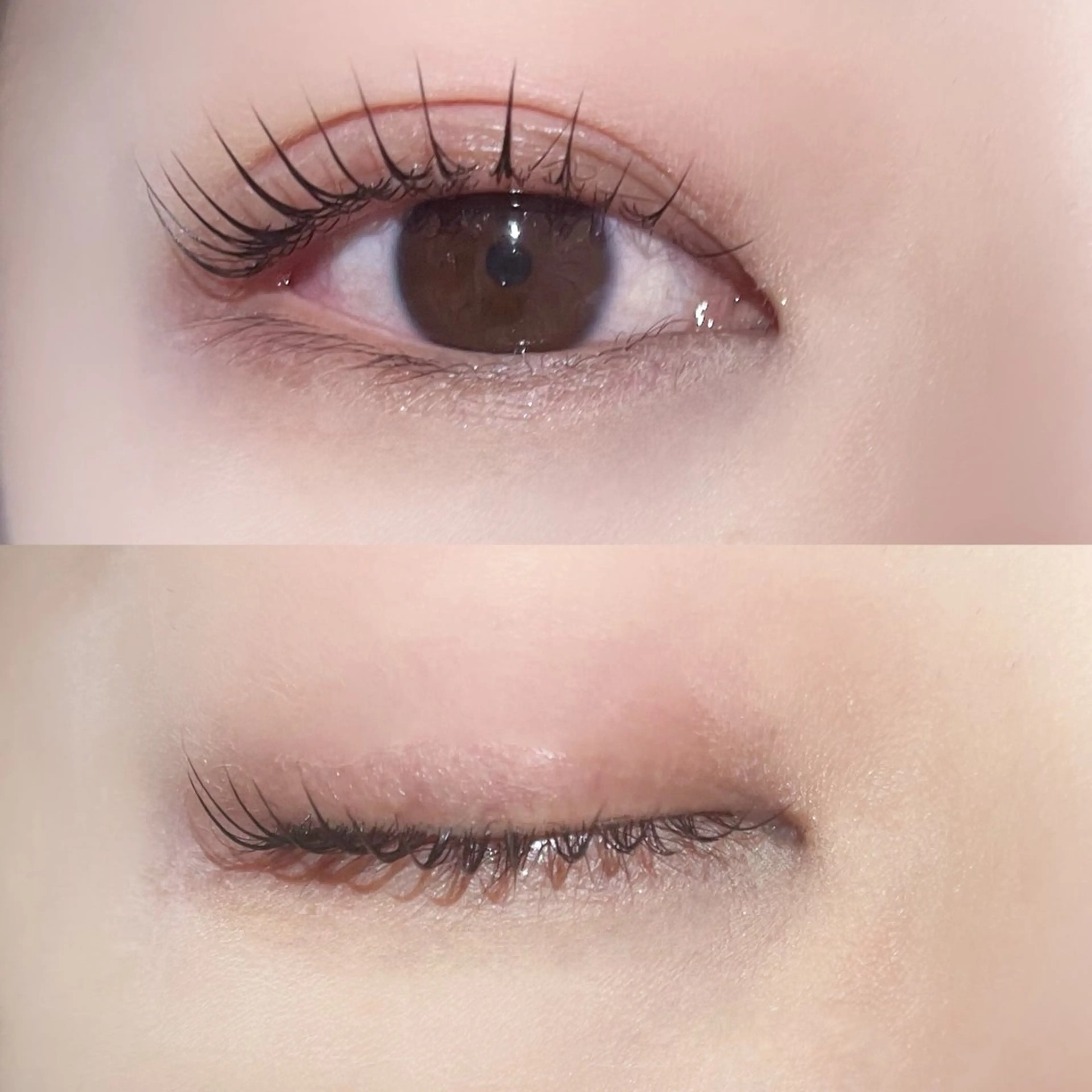 マツエク・マツパ パリジェンヌラッシュリフト YUKA 🍯のマツエク・マツパデザイン