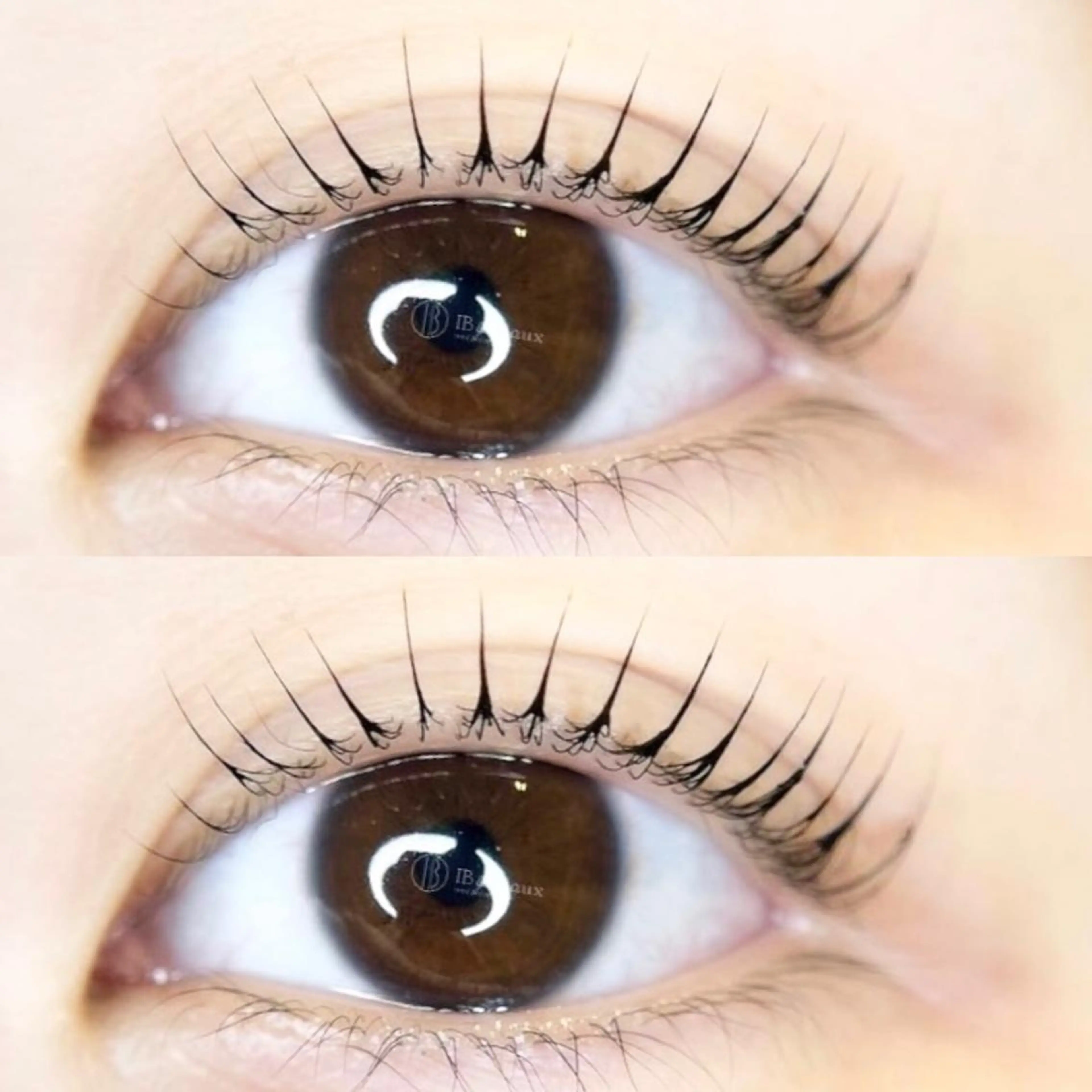 【マスカラパーマ】パリジェンヌラッシュリフト+ティントの写真