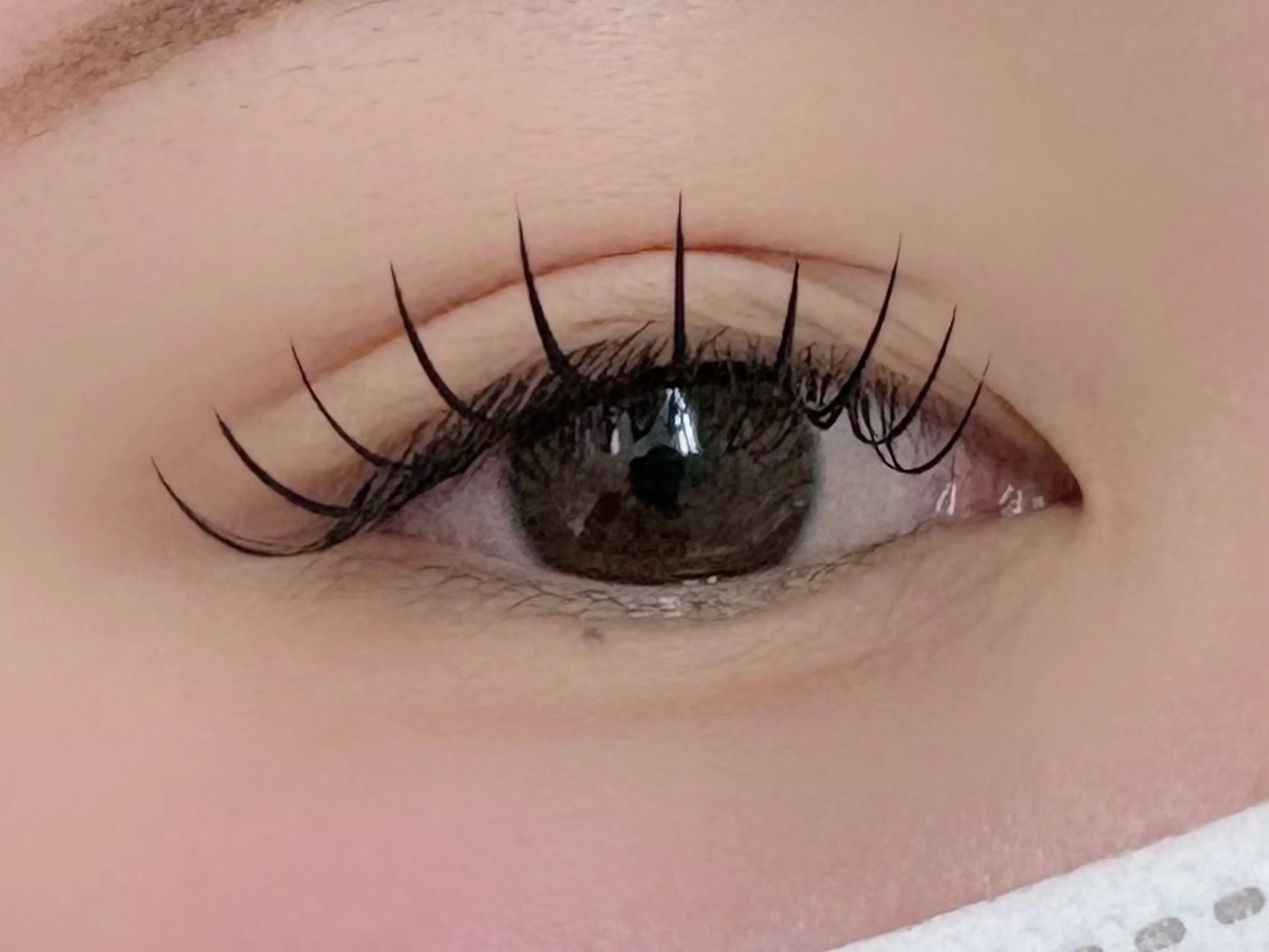 マツエク・マツパ Dカール フラットラッシュ マツエク alice tokyo上村★のマツエク・マツパデザイン