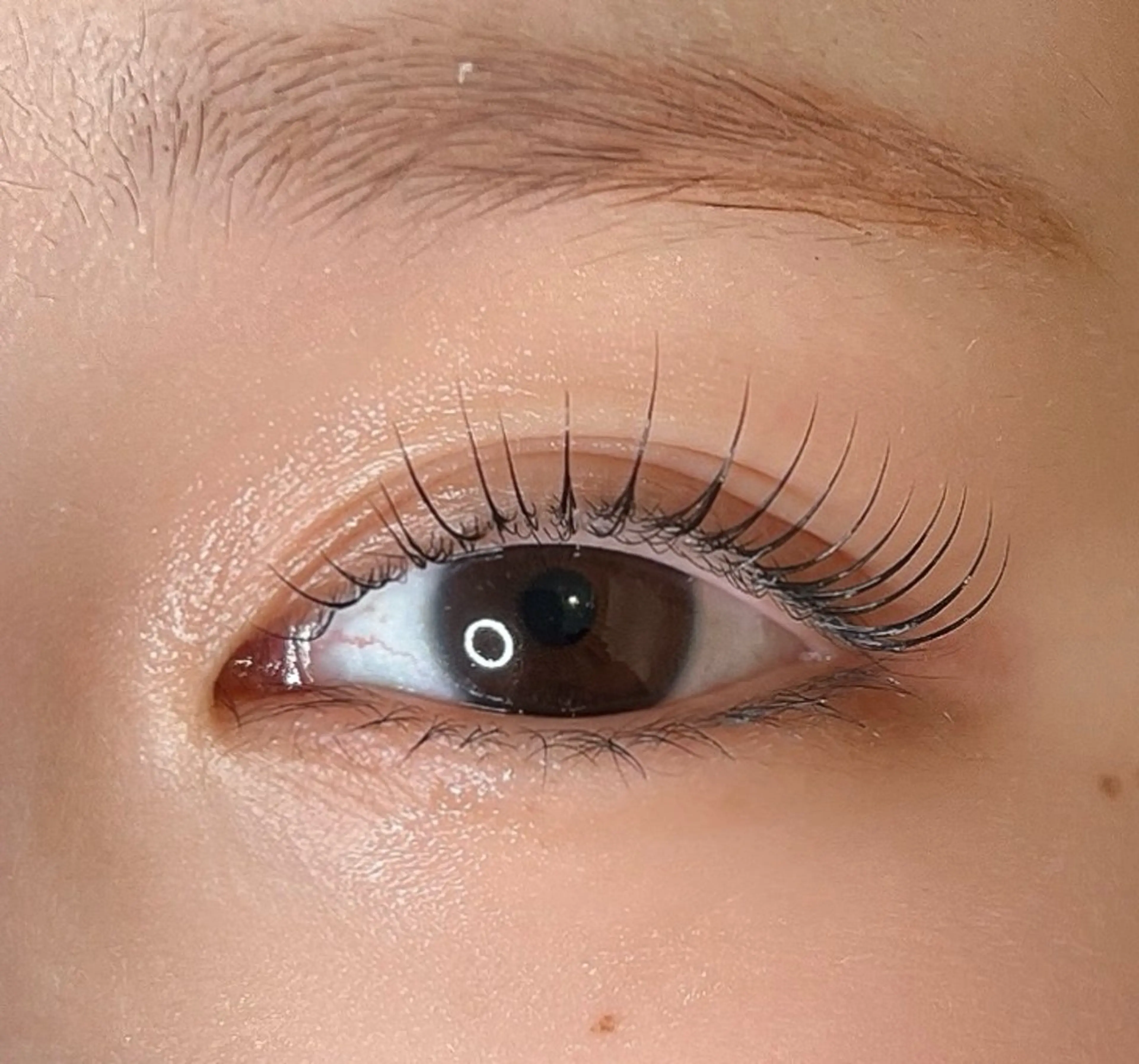 マツエク・マツパ リティーバイメルシー所属・Riti🎀 Asamiのマツエク・マツパデザイン