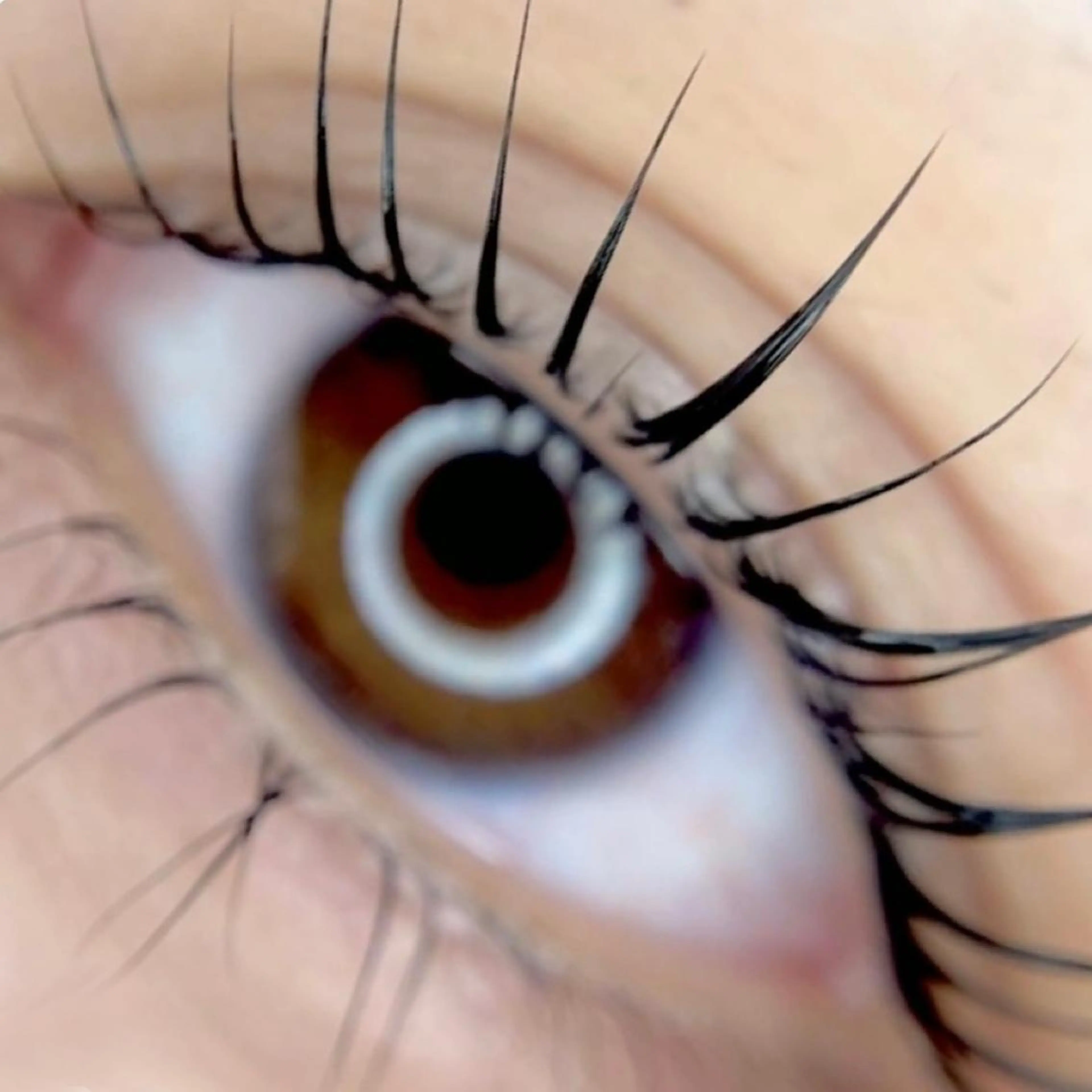 ［韓国風］　束間まつ毛　7700→5500の写真